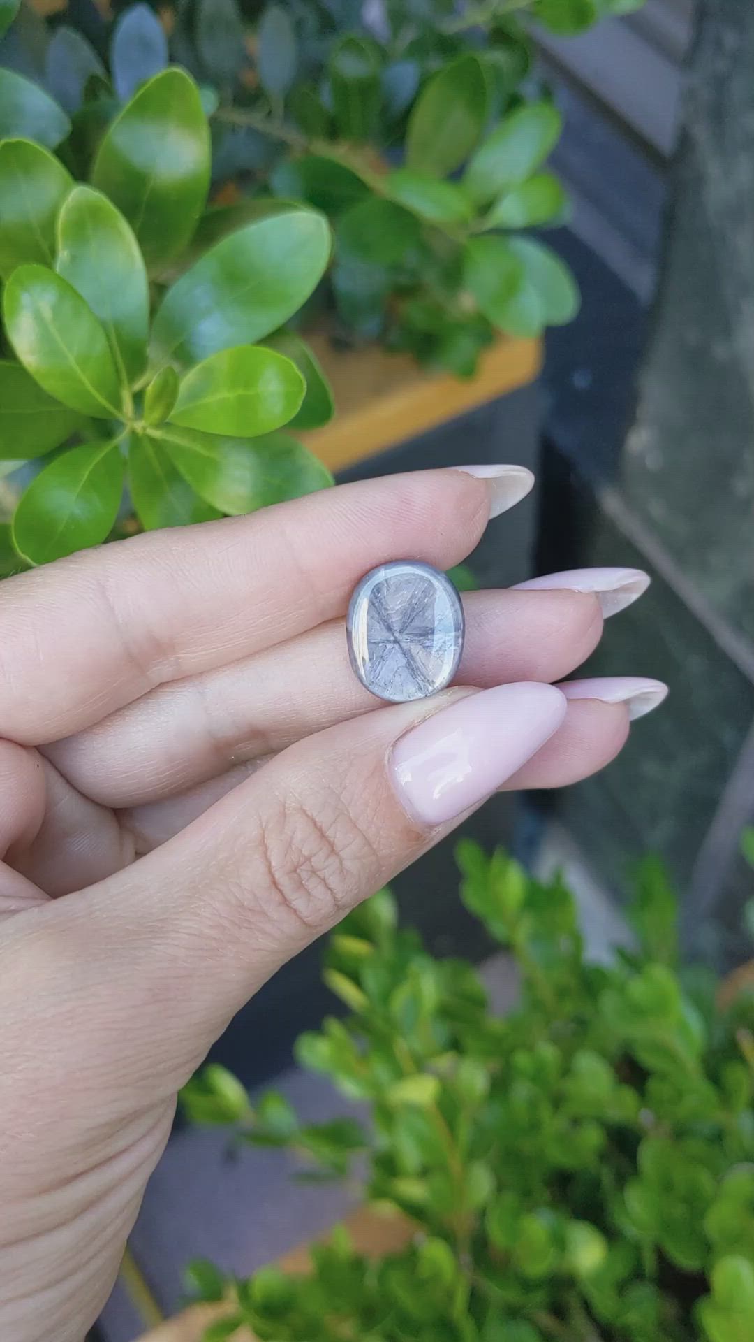 15.39 Ct. Grey Cabochon Sapphire from Burma (Myanmar) Size Video