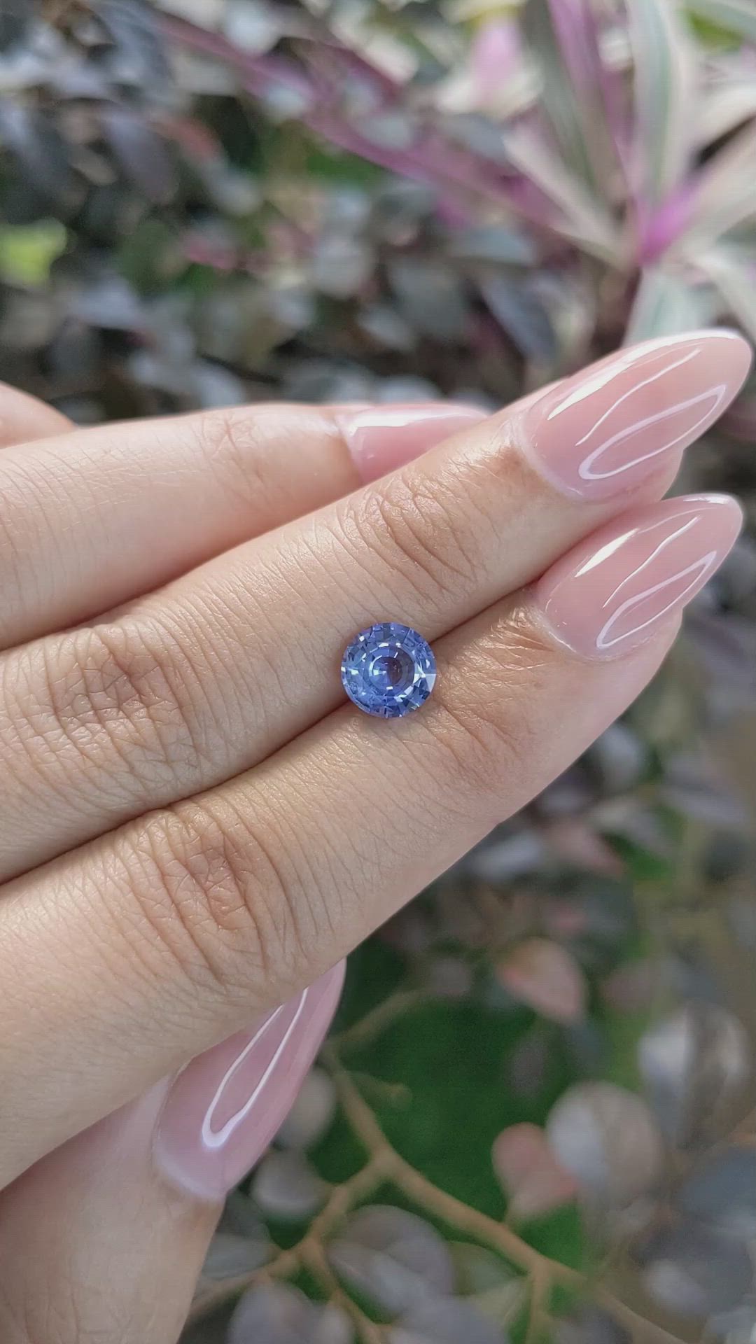 1.54 Ct. Blue Sapphire from Ceylon (Sri Lanka) Size Video