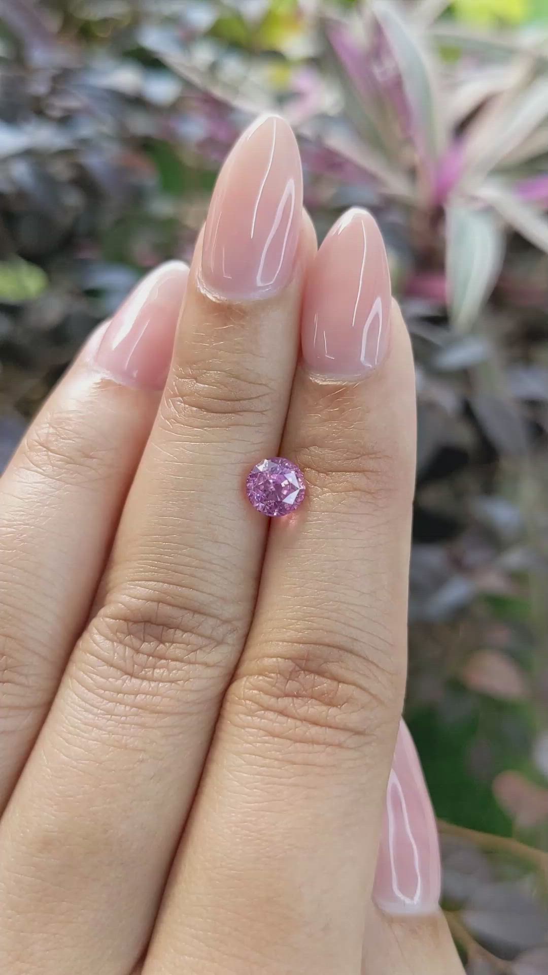 1.38 Ct. Purplish Pink Sapphire from Ceylon (Sri Lanka) Size Video