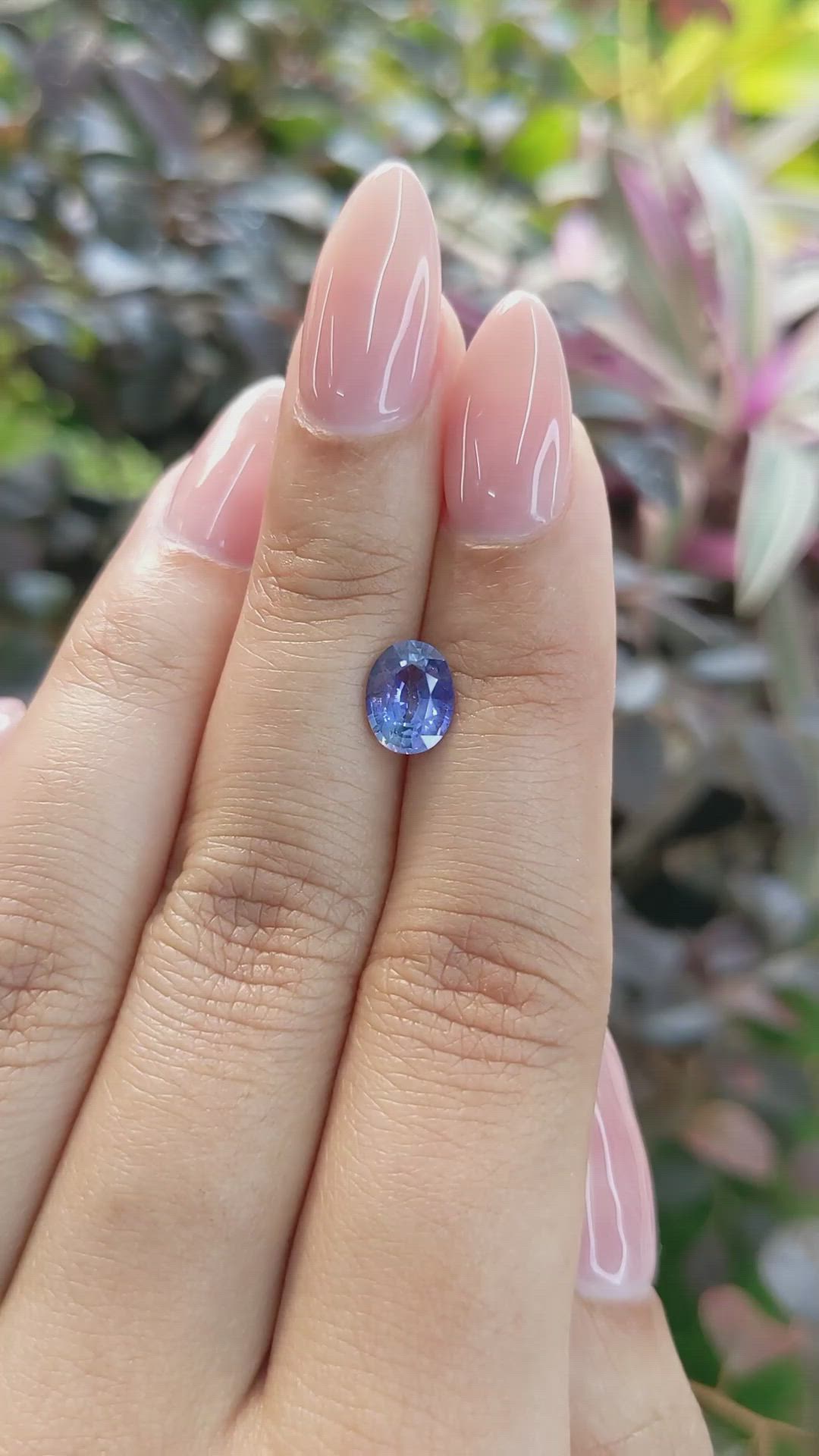 1.46 Ct. Blue Sapphire from Ceylon (Sri Lanka) Size Video