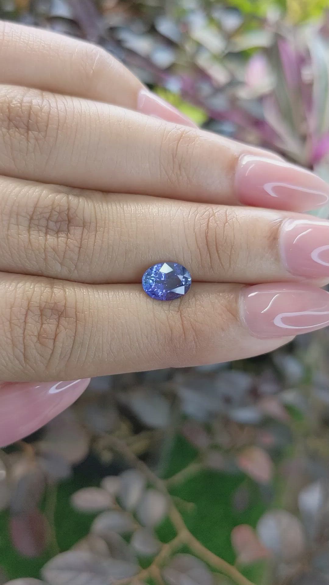 1.46 Ct. Blue Sapphire from Ceylon (Sri Lanka) Size Video