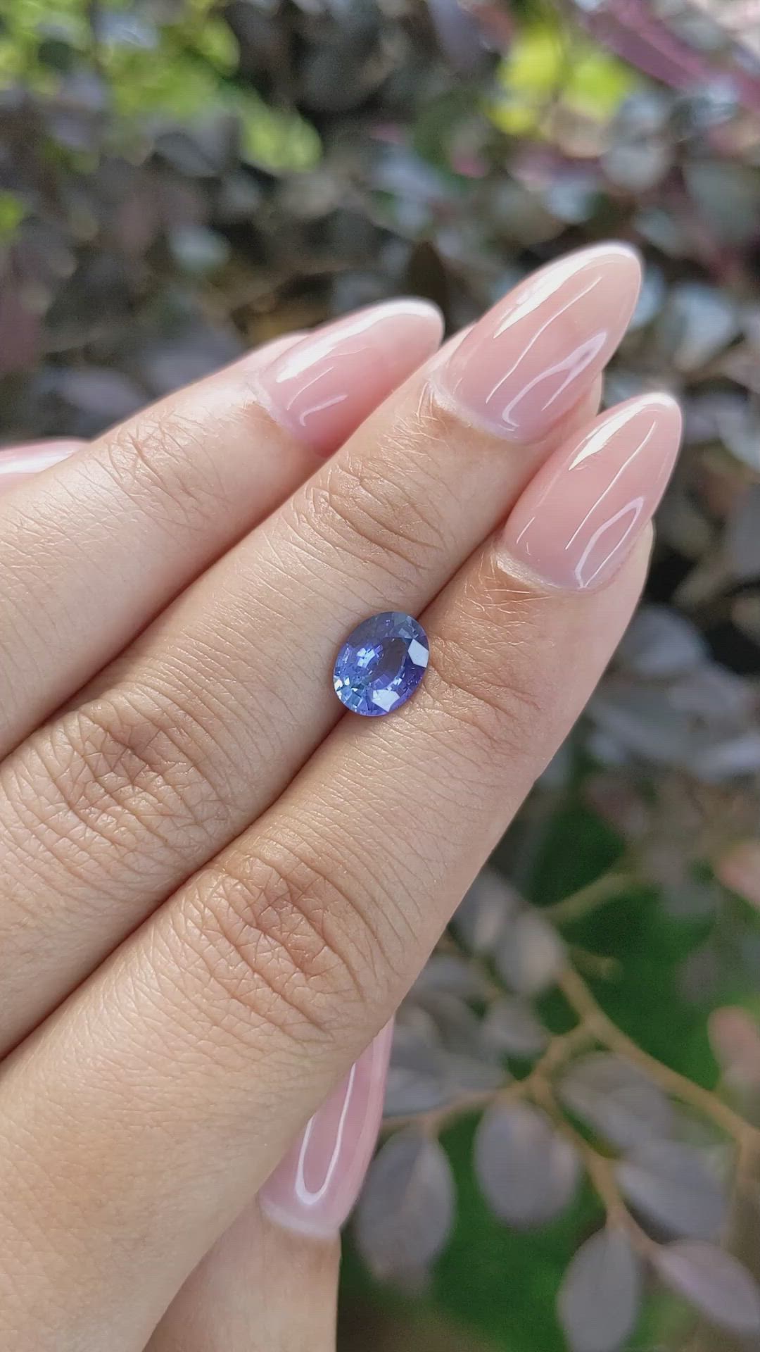 1.46 Ct. Blue Sapphire from Ceylon (Sri Lanka) Size Video