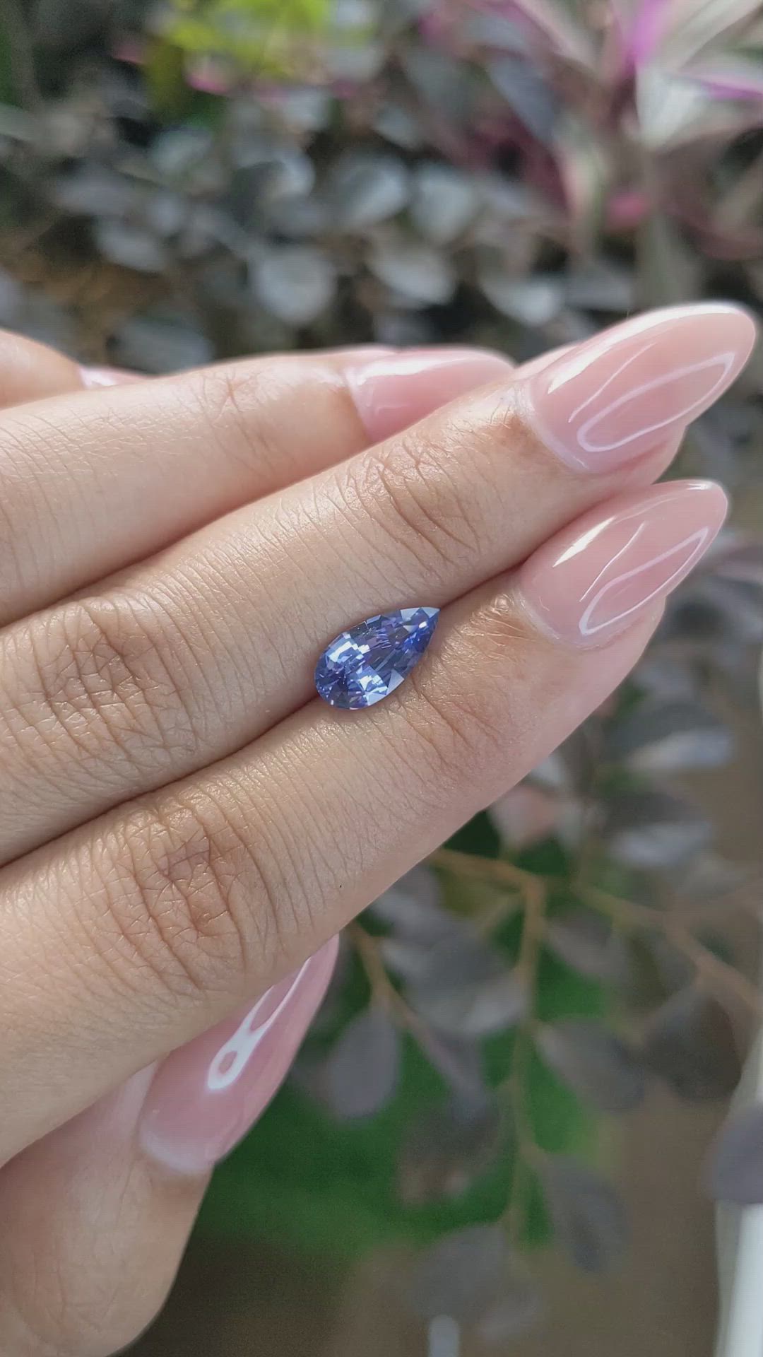 1.84 Ct. Blue Sapphire from Ceylon (Sri Lanka) Size Video