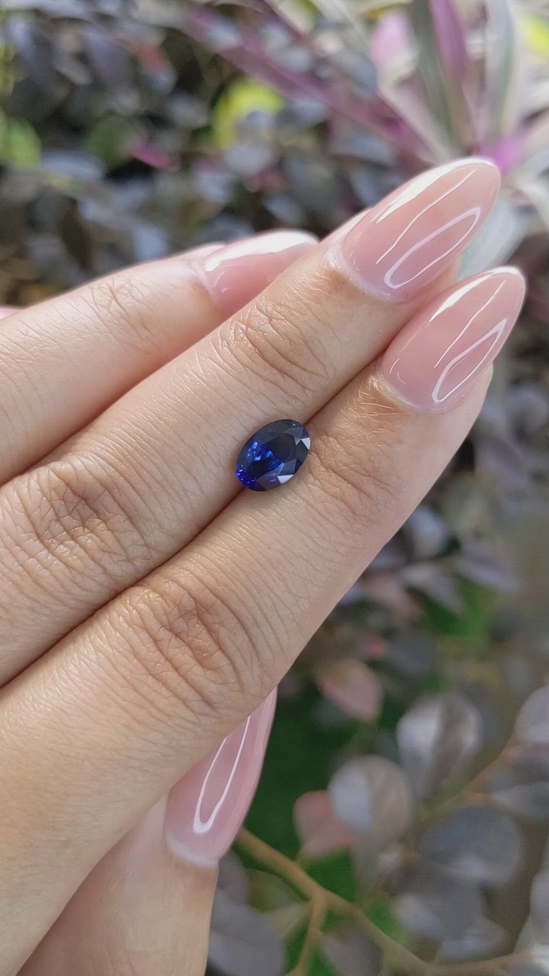 1.45 Ct. Blue Sapphire from Ceylon (Sri Lanka) Size Video