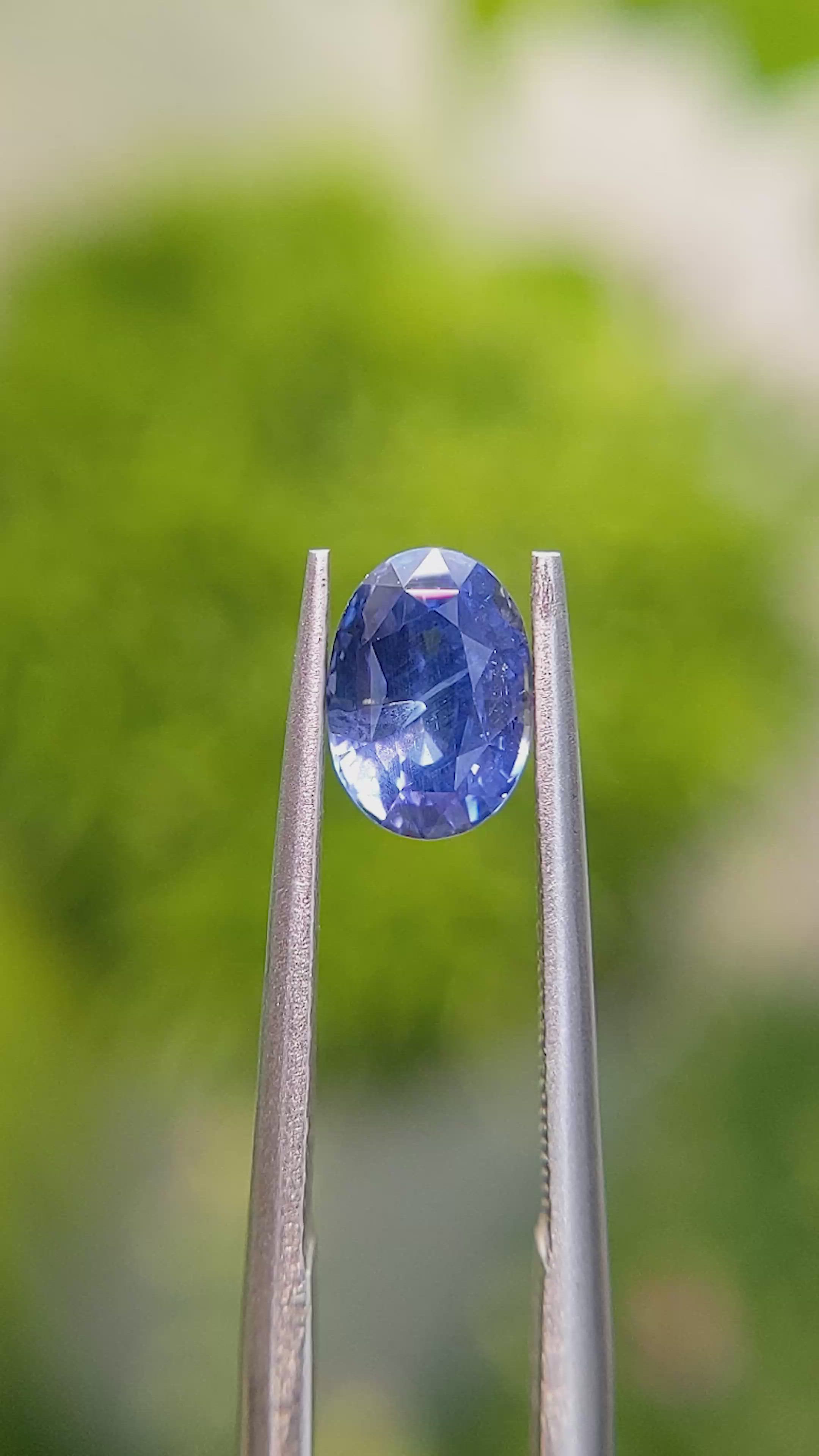 1.55 Ct. Blue Sapphire from Ceylon (Sri Lanka) Size Video