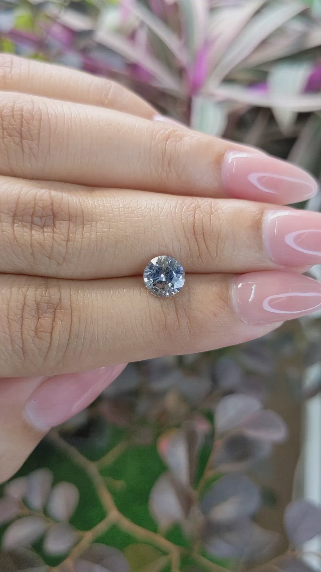 1.85 Ct. Bi Color Sapphire from Ceylon (Sri Lanka) Size Video