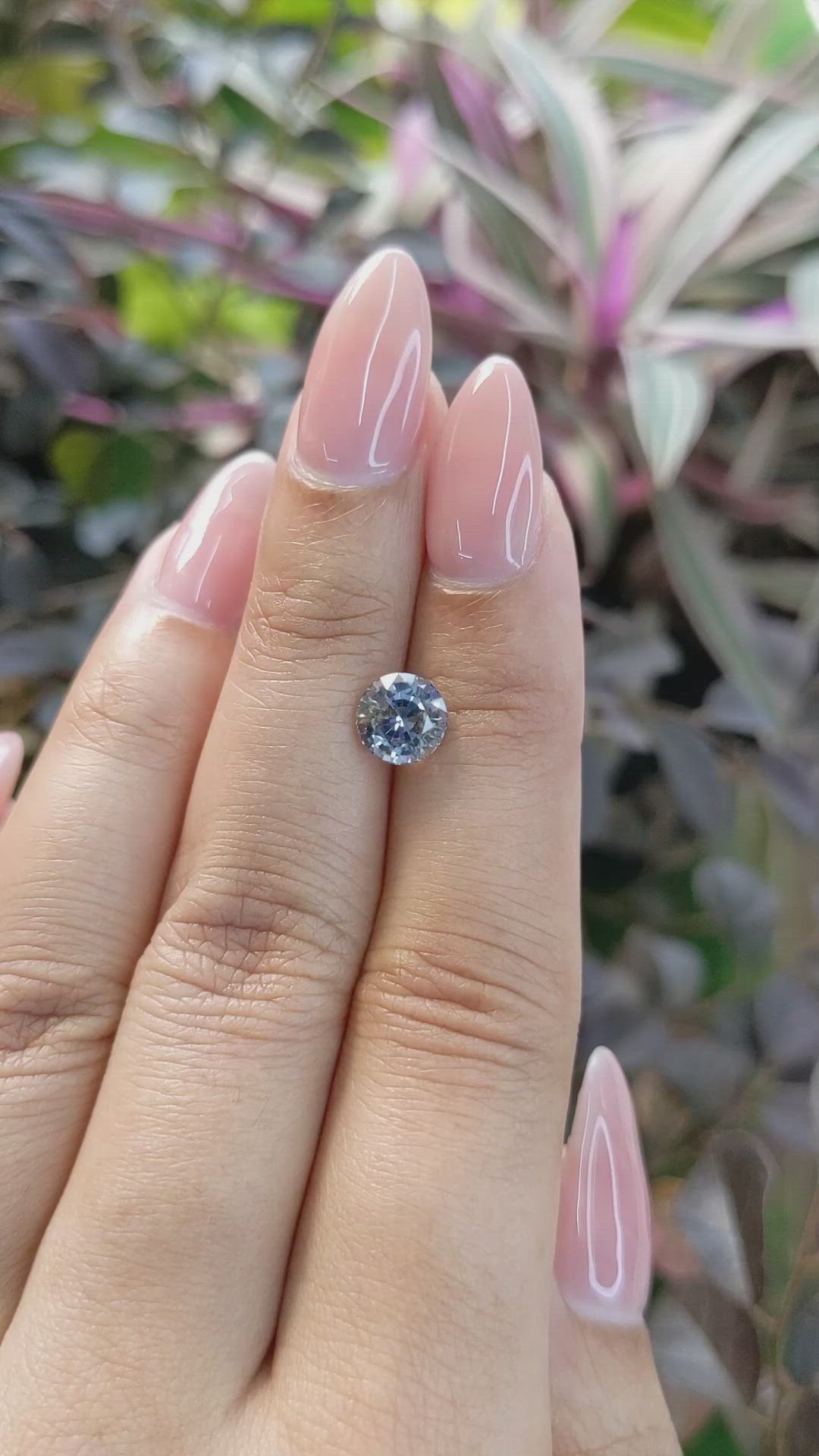 1.85 Ct. Bi Color Sapphire from Ceylon (Sri Lanka) Size Video