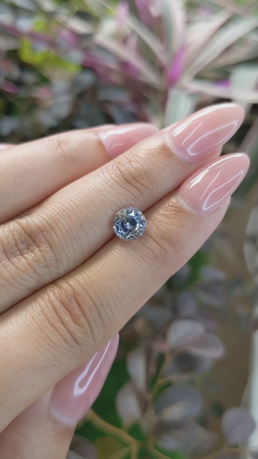 1.85 Ct. Bi Color Sapphire from Ceylon (Sri Lanka) Size Video