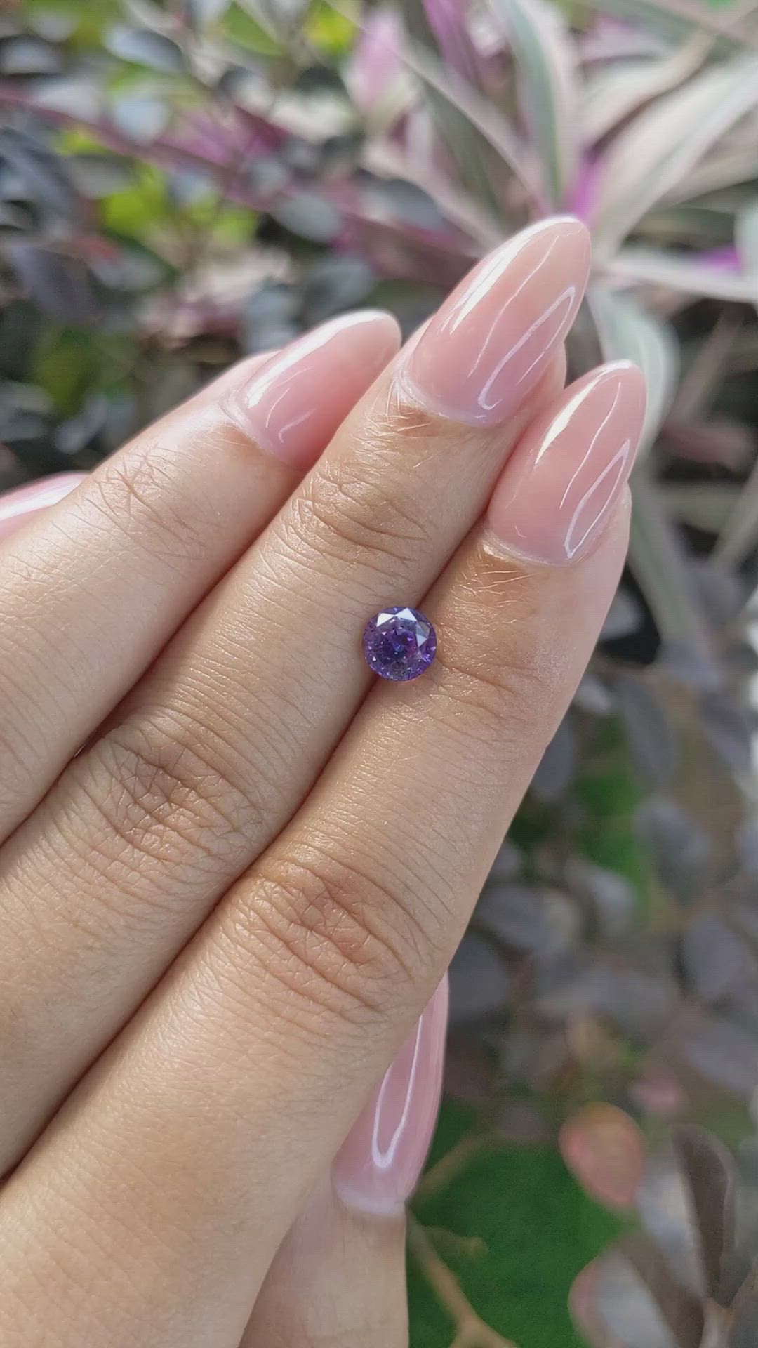 1.02 Ct. Bi Color Sapphire from Ceylon (Sri Lanka) Size Video