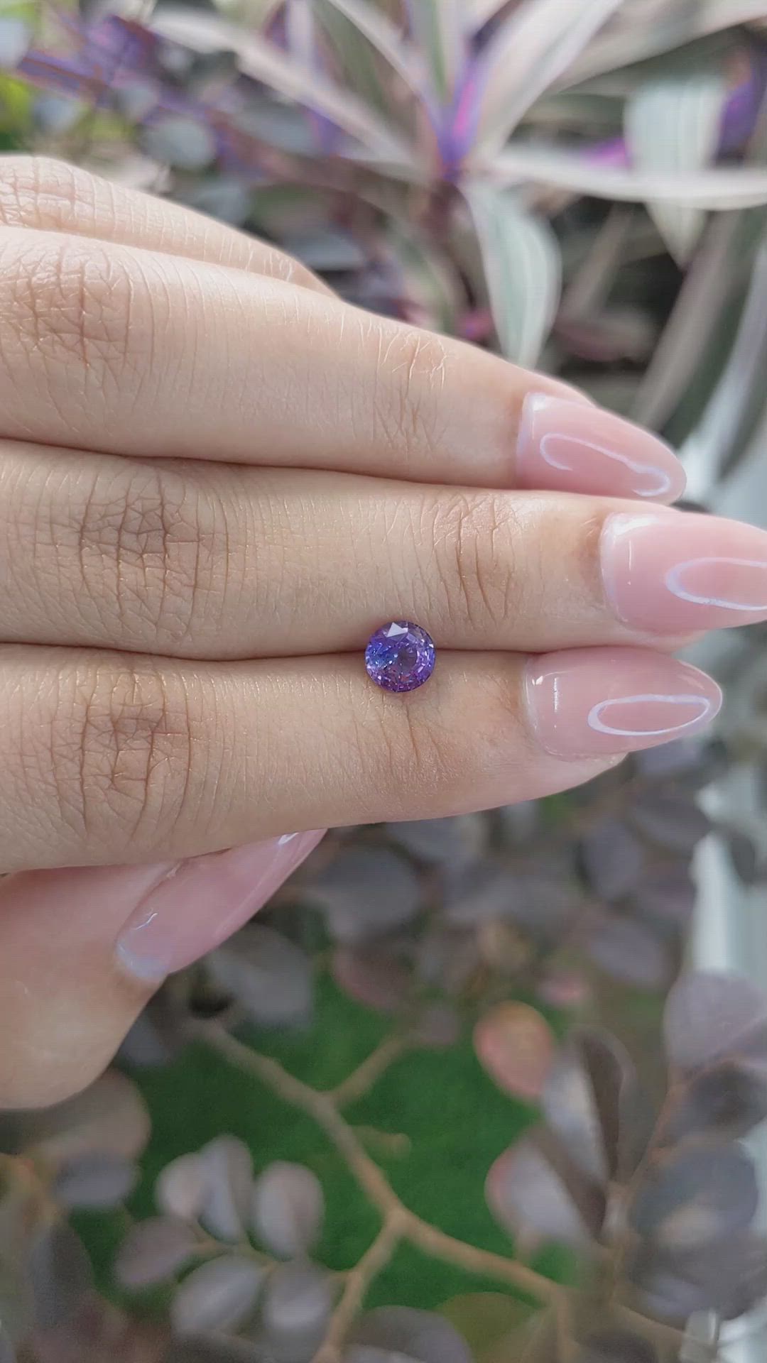 1.02 Ct. Bi Color Sapphire from Ceylon (Sri Lanka) Size Video