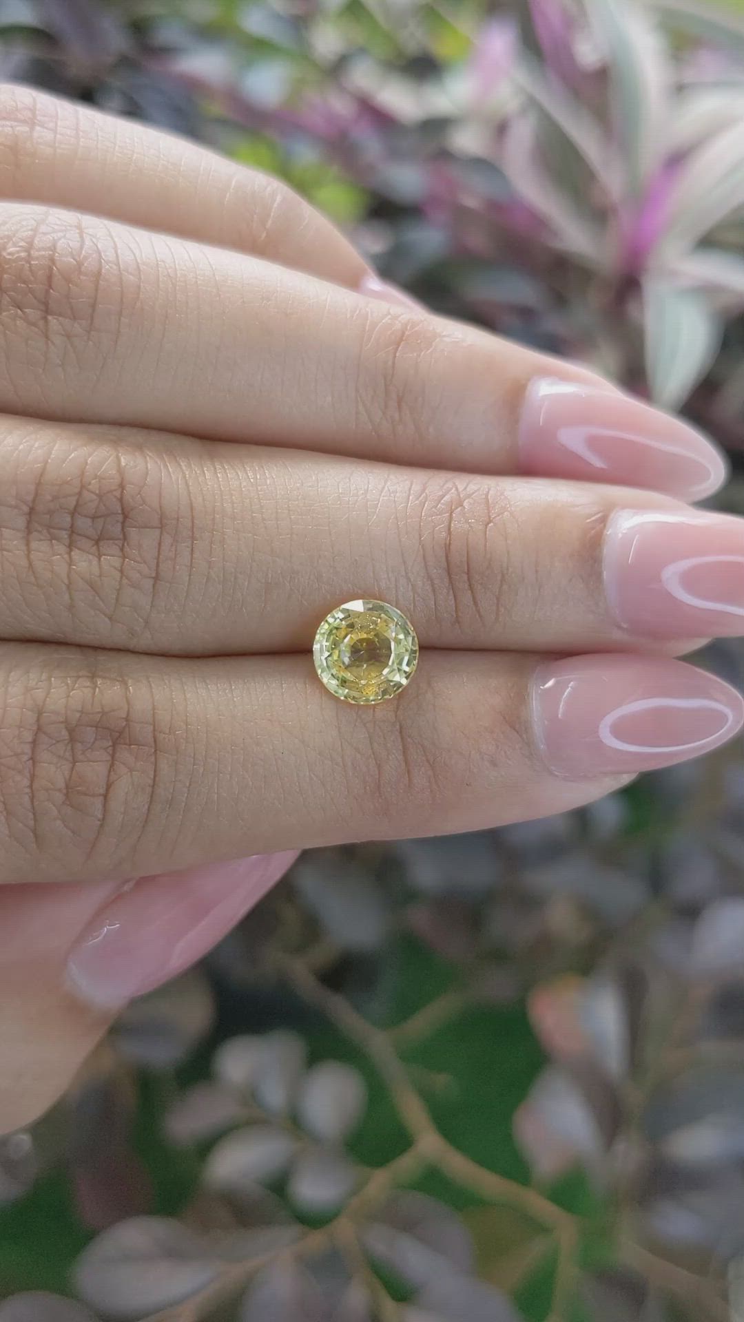 2.13 Ct. Yellow Sapphire from Ceylon (Sri Lanka) Size Video