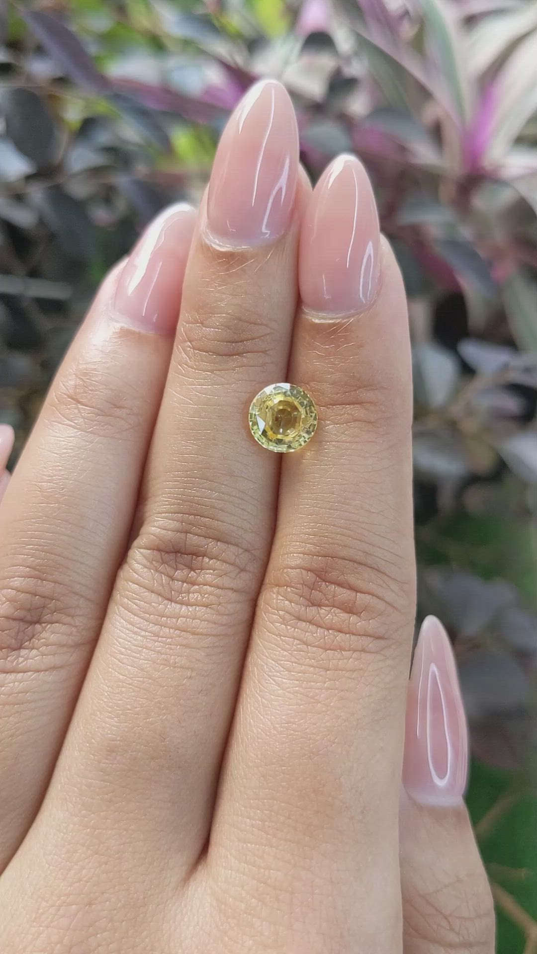 2.13 Ct. Yellow Sapphire from Ceylon (Sri Lanka) Size Video