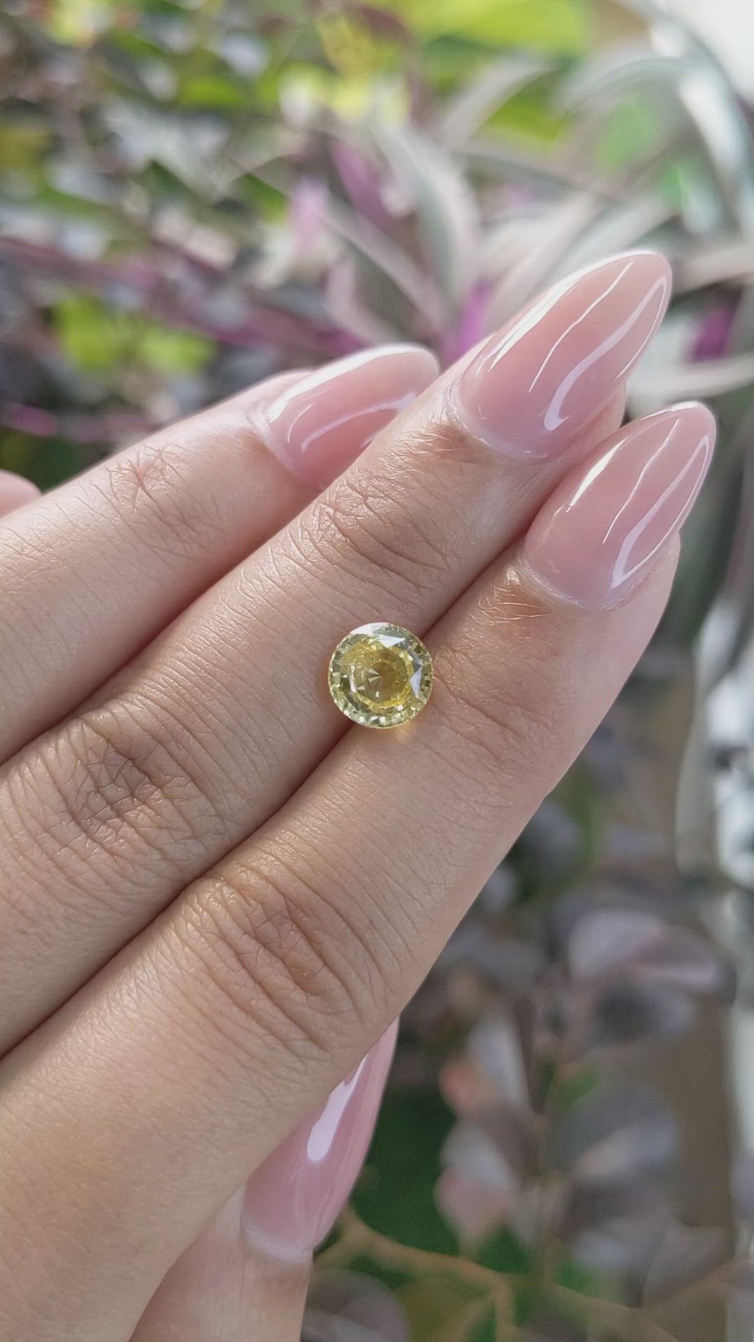 2.13 Ct. Yellow Sapphire from Ceylon (Sri Lanka) Size Video
