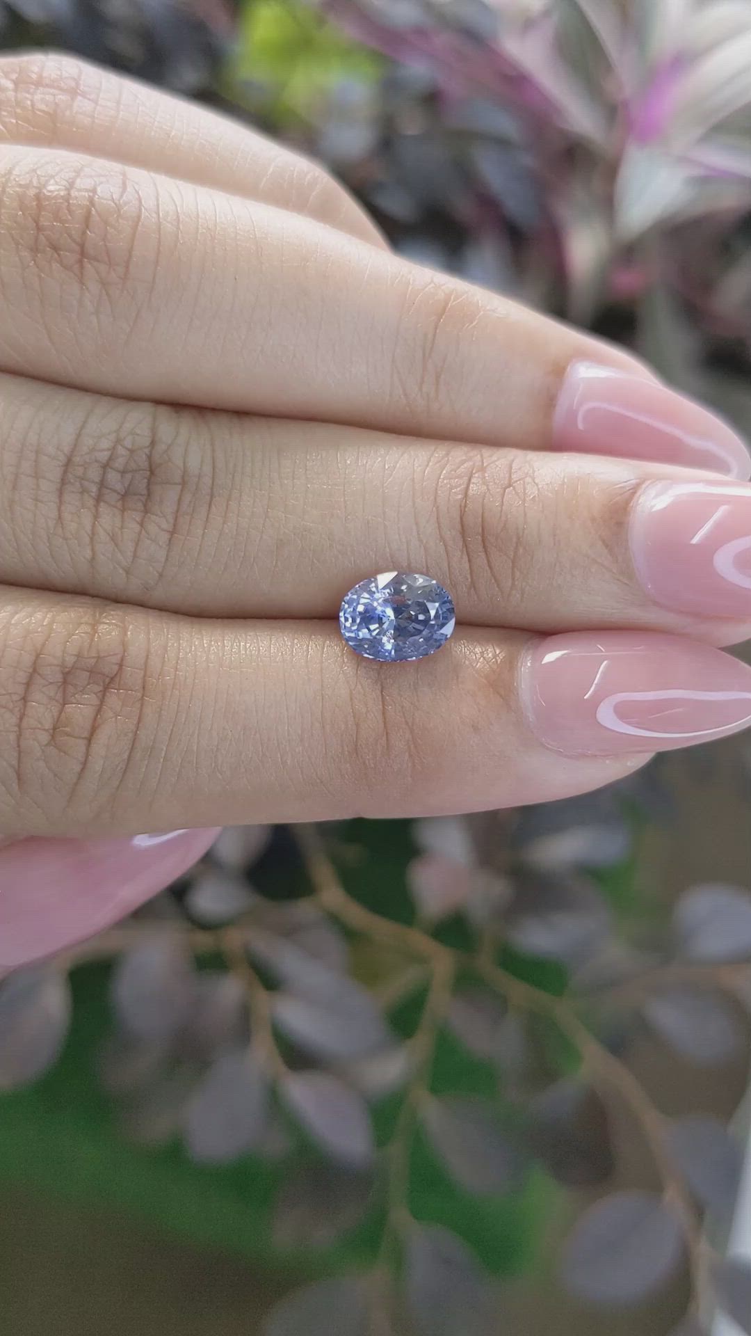 1.68 Ct. Bi Color Sapphire from Ceylon (Sri Lanka) Size Video