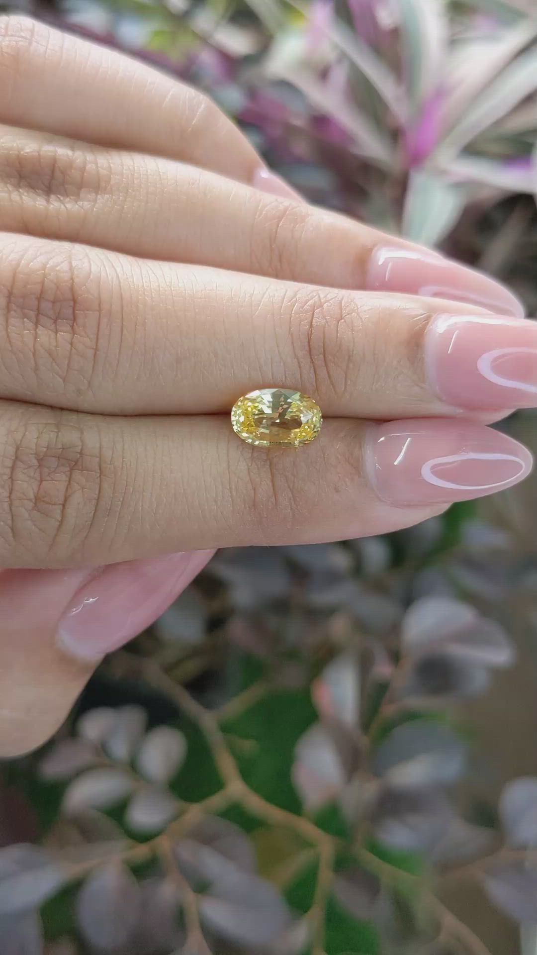 2.01 Ct. Yellow Sapphire from Ceylon (Sri Lanka) Size Video