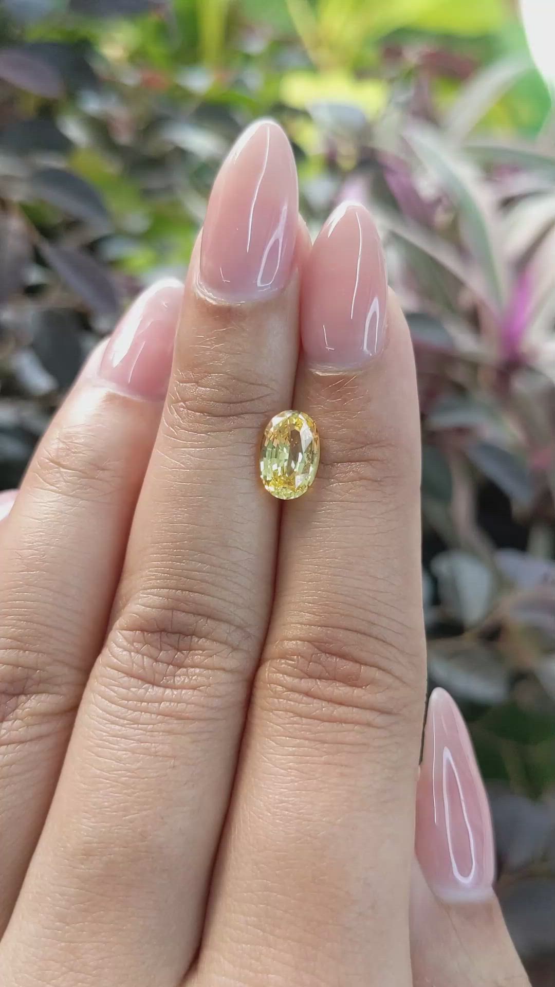 2.01 Ct. Yellow Sapphire from Ceylon (Sri Lanka) Size Video