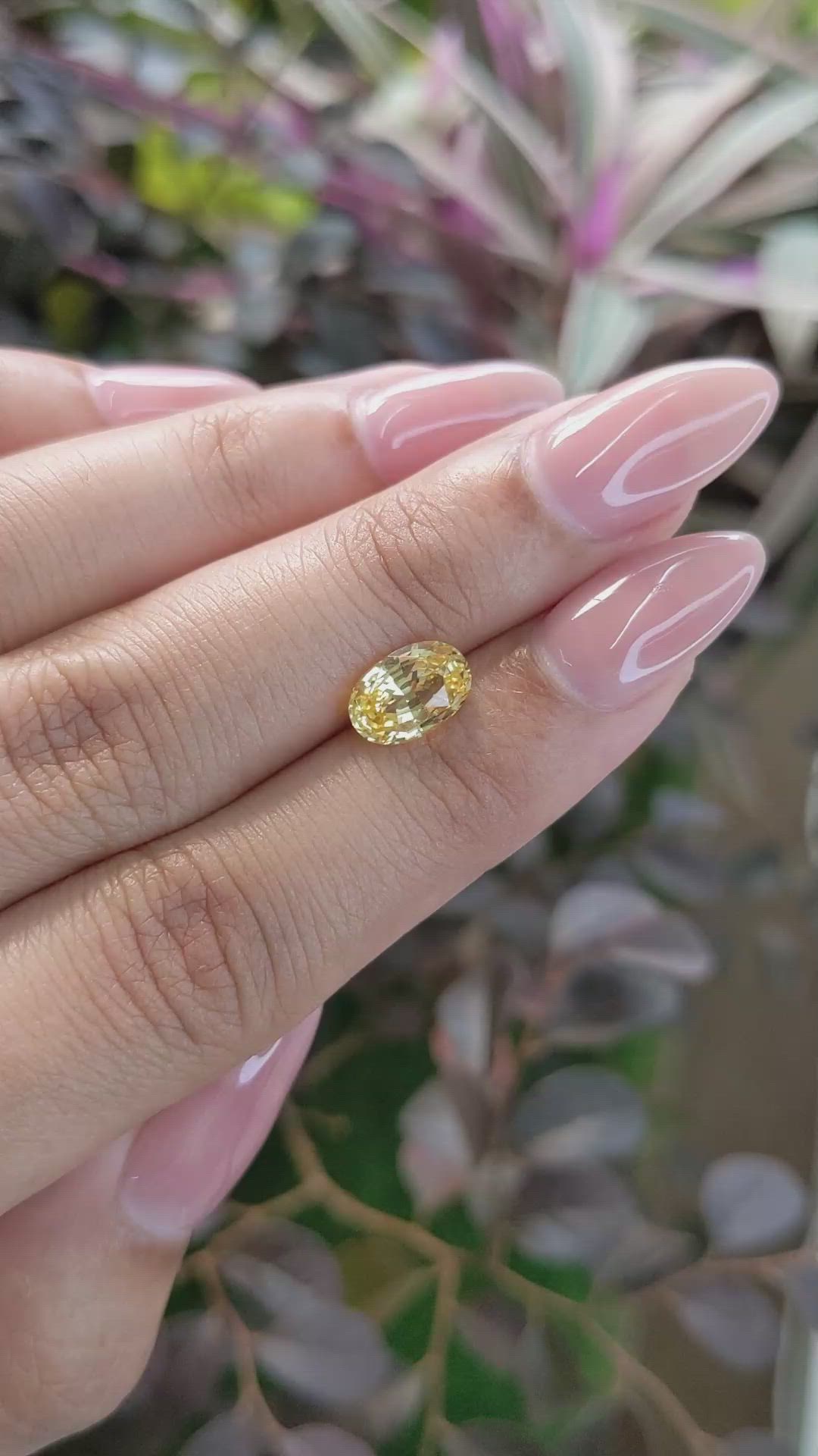 2.01 Ct. Yellow Sapphire from Ceylon (Sri Lanka) Size Video