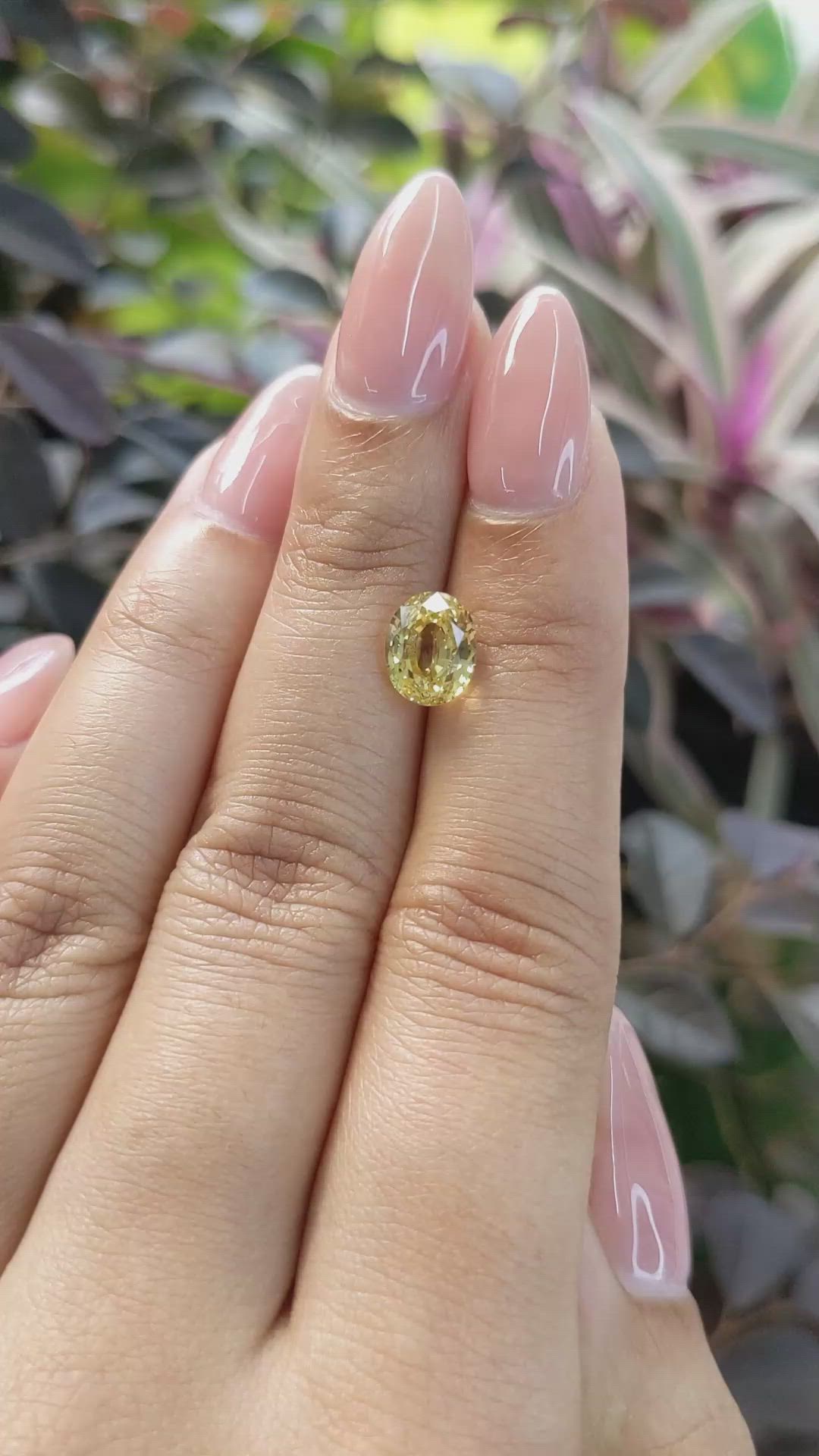 2.67 Ct. Yellow Sapphire from Ceylon (Sri Lanka) Size Video