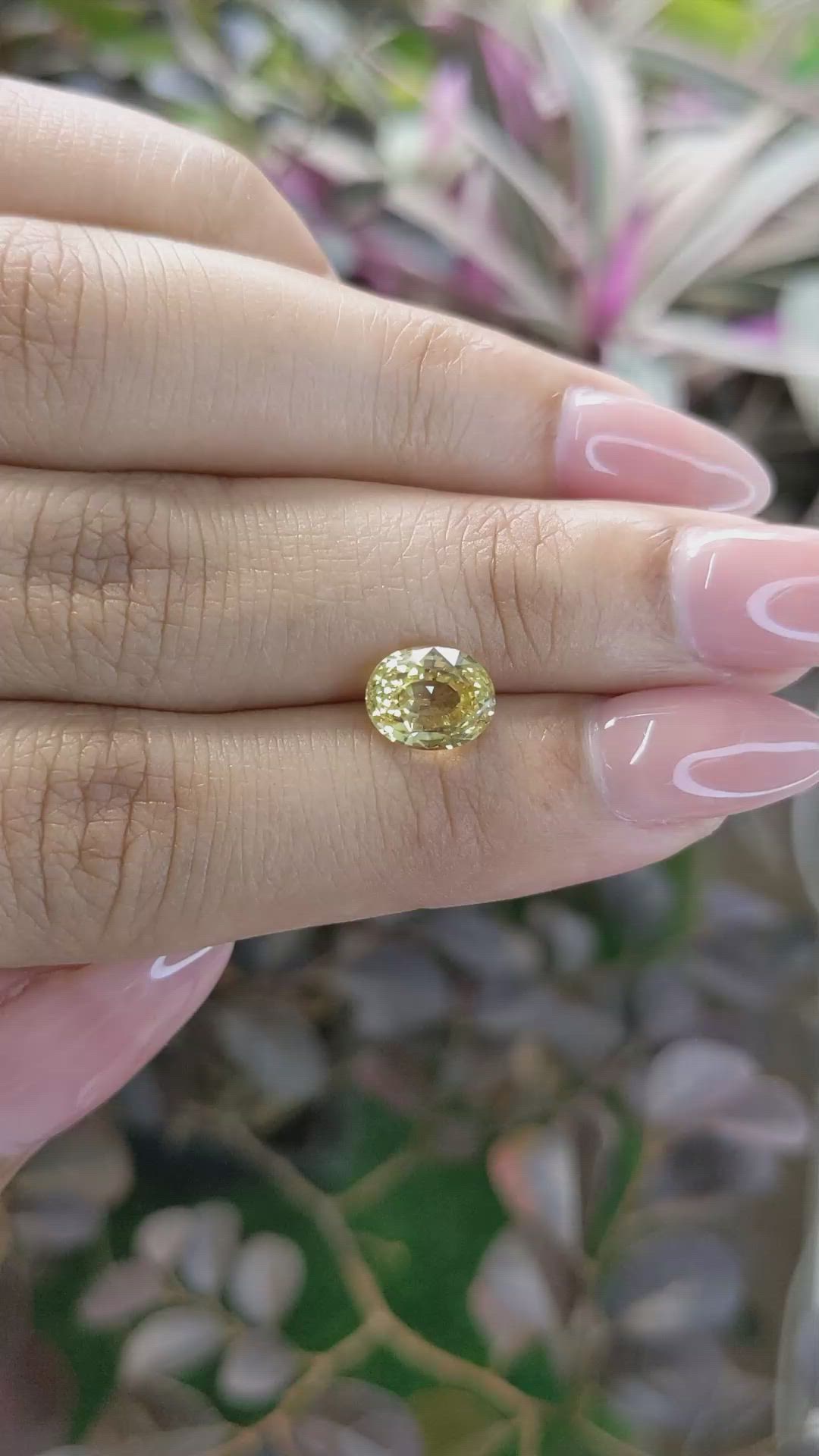 2.67 Ct. Yellow Sapphire from Ceylon (Sri Lanka) Size Video
