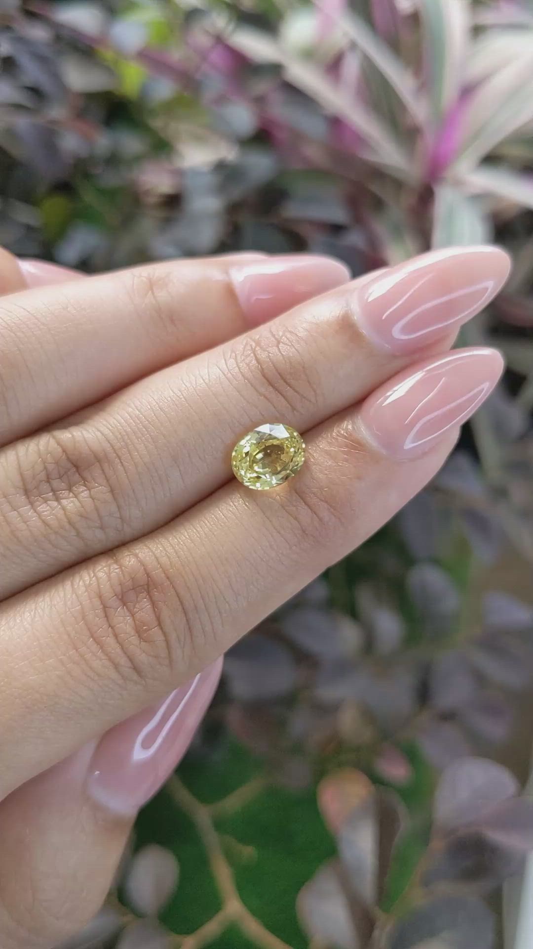 2.67 Ct. Yellow Sapphire from Ceylon (Sri Lanka) Size Video