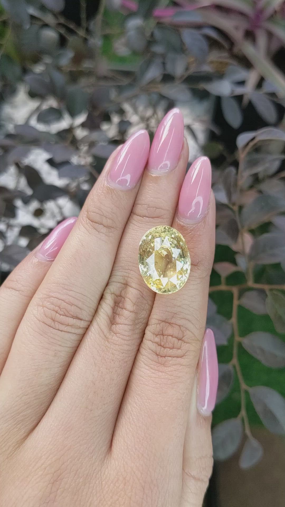 21.50 Ct. Yellow Sapphire from Ceylon (Sri Lanka) Size Video