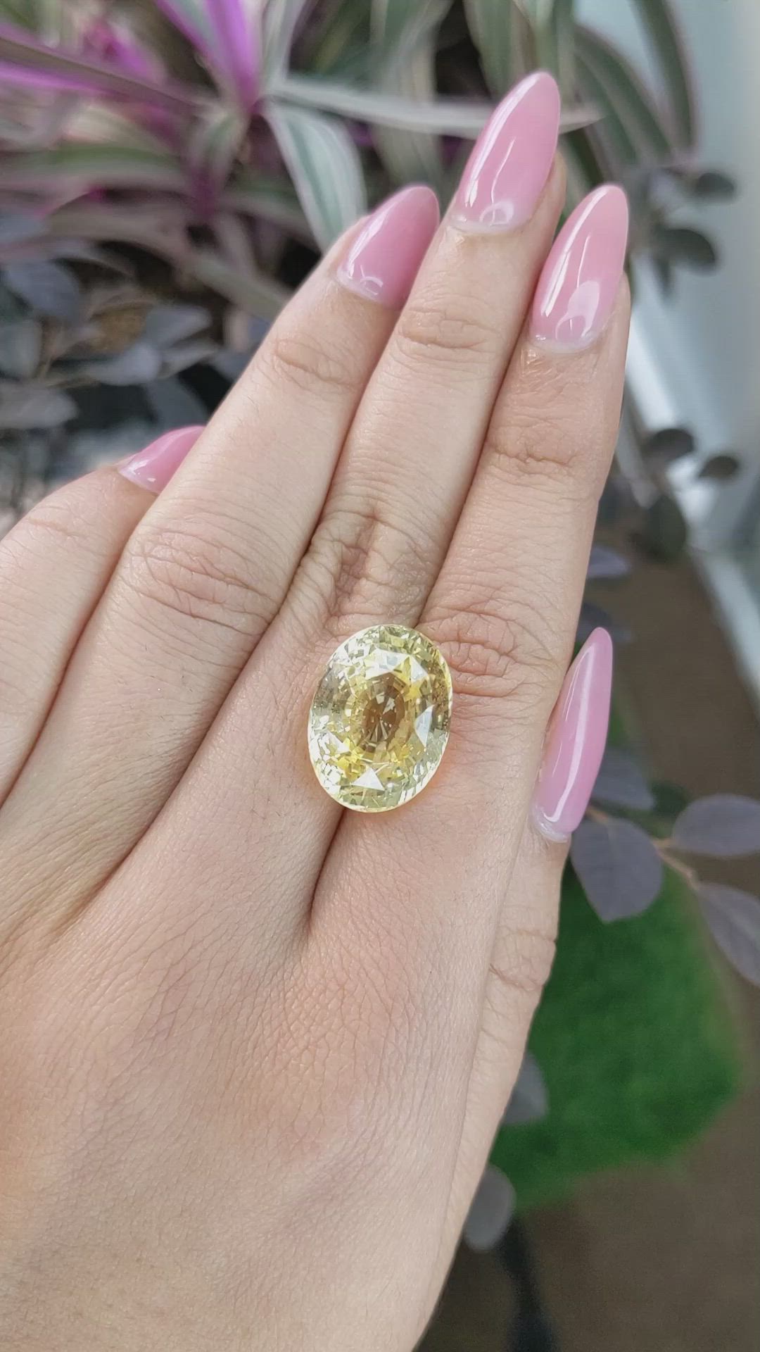 21.50 Ct. Yellow Sapphire from Ceylon (Sri Lanka) Size Video