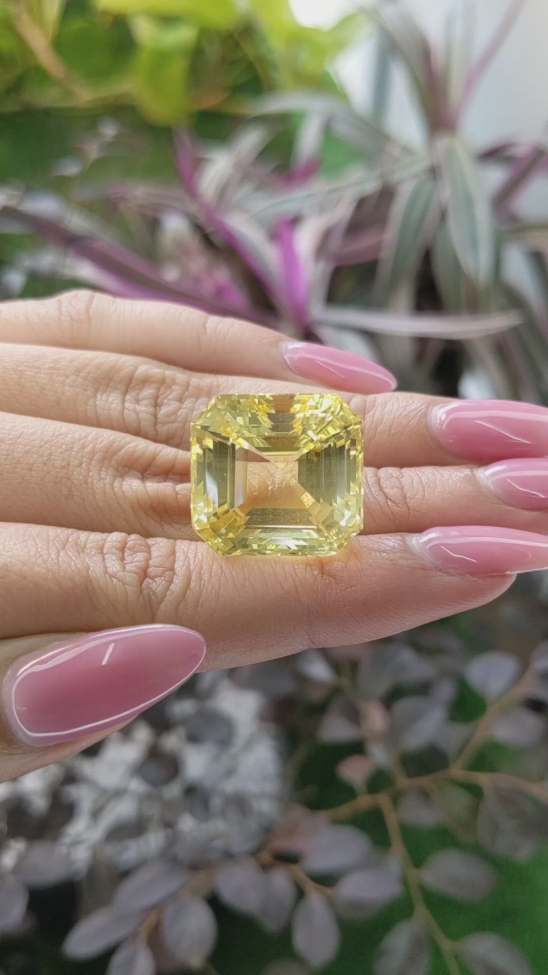 51.03 Ct. Yellow Sapphire from Ceylon (Sri Lanka) Size Video