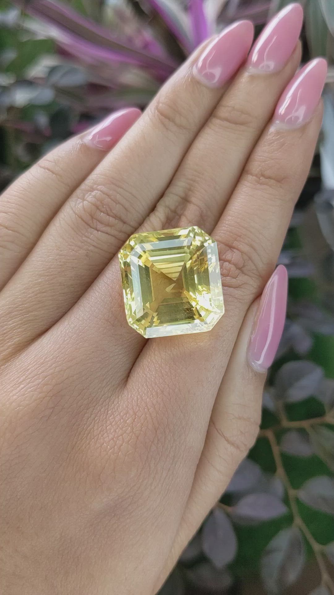 51.03 Ct. Yellow Sapphire from Ceylon (Sri Lanka) Size Video