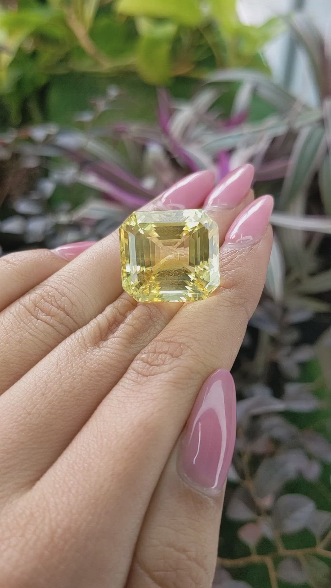 51.03 Ct. Yellow Sapphire from Ceylon (Sri Lanka) Size Video