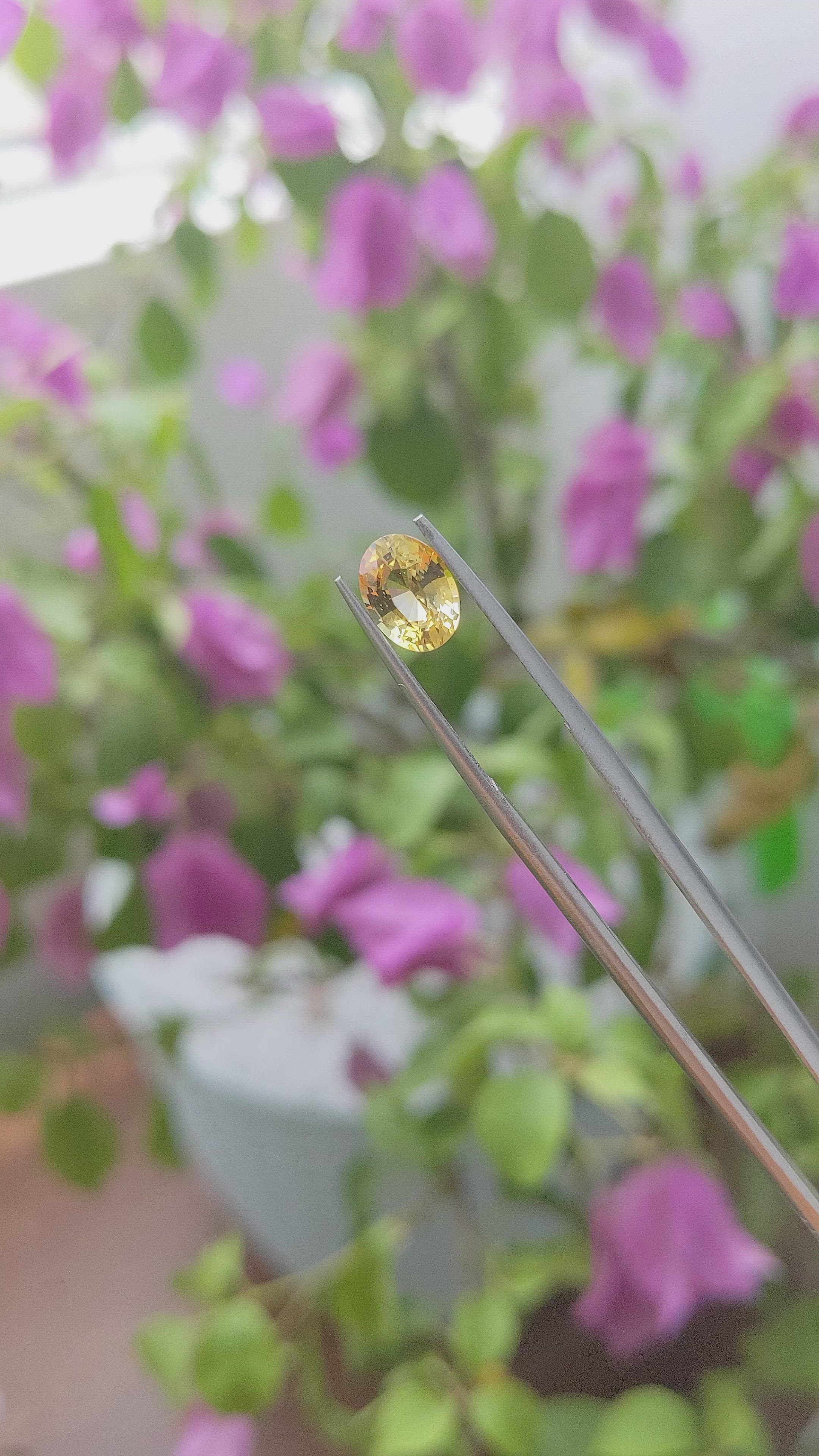 1.64 Ct. Yellow Sapphire from Tanzania Size Video
