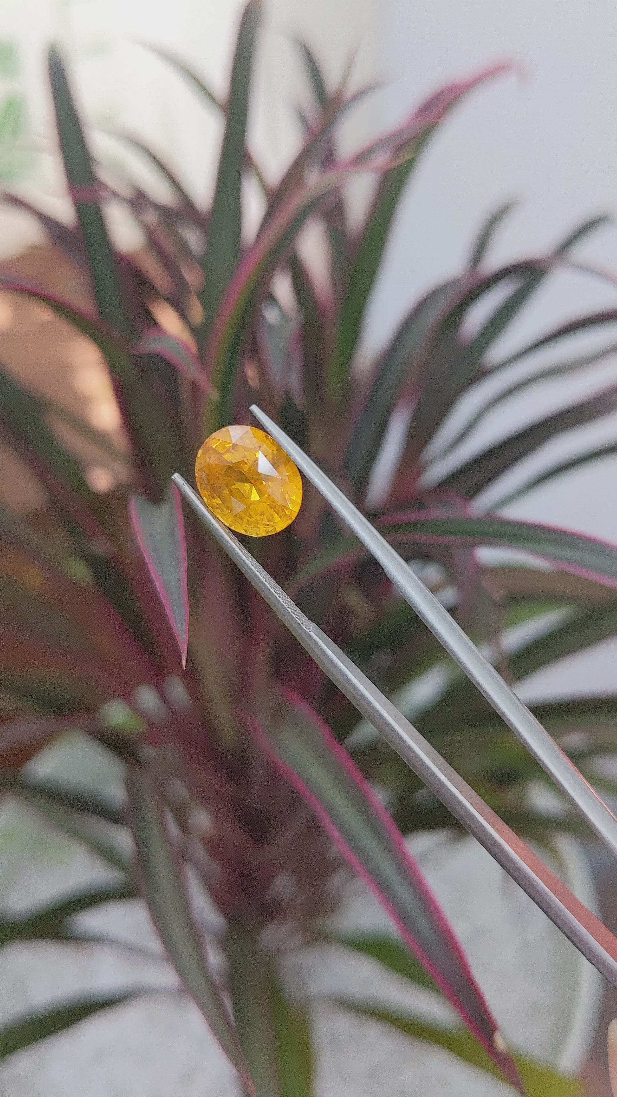 4.07 Ct. Orangish Yellow Sapphire from Tanzania Size Video
