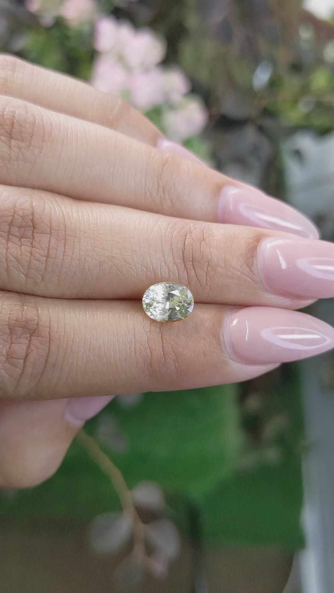 1.70 Ct. Yellow Sapphire from Ceylon (Sri Lanka) Size Video