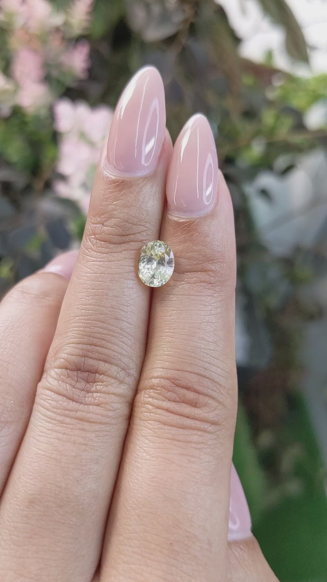 1.70 Ct. Yellow Sapphire from Ceylon (Sri Lanka) Size Video