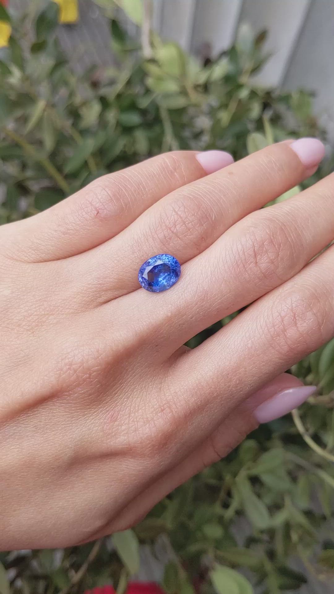 3.77 Ct. Blue Sapphire from Ceylon (Sri Lanka) Size Video