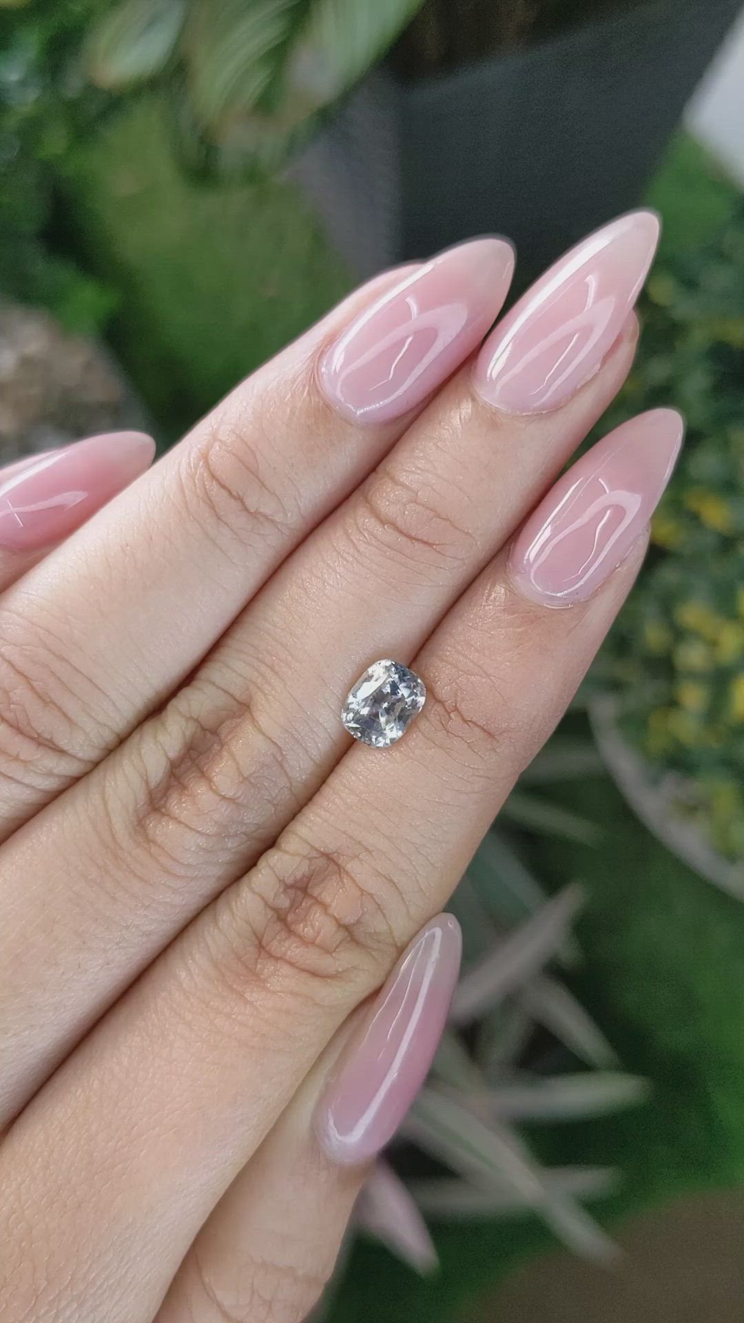 1.67 Ct. Bi Color Sapphire from Ceylon (Sri Lanka) Size Video