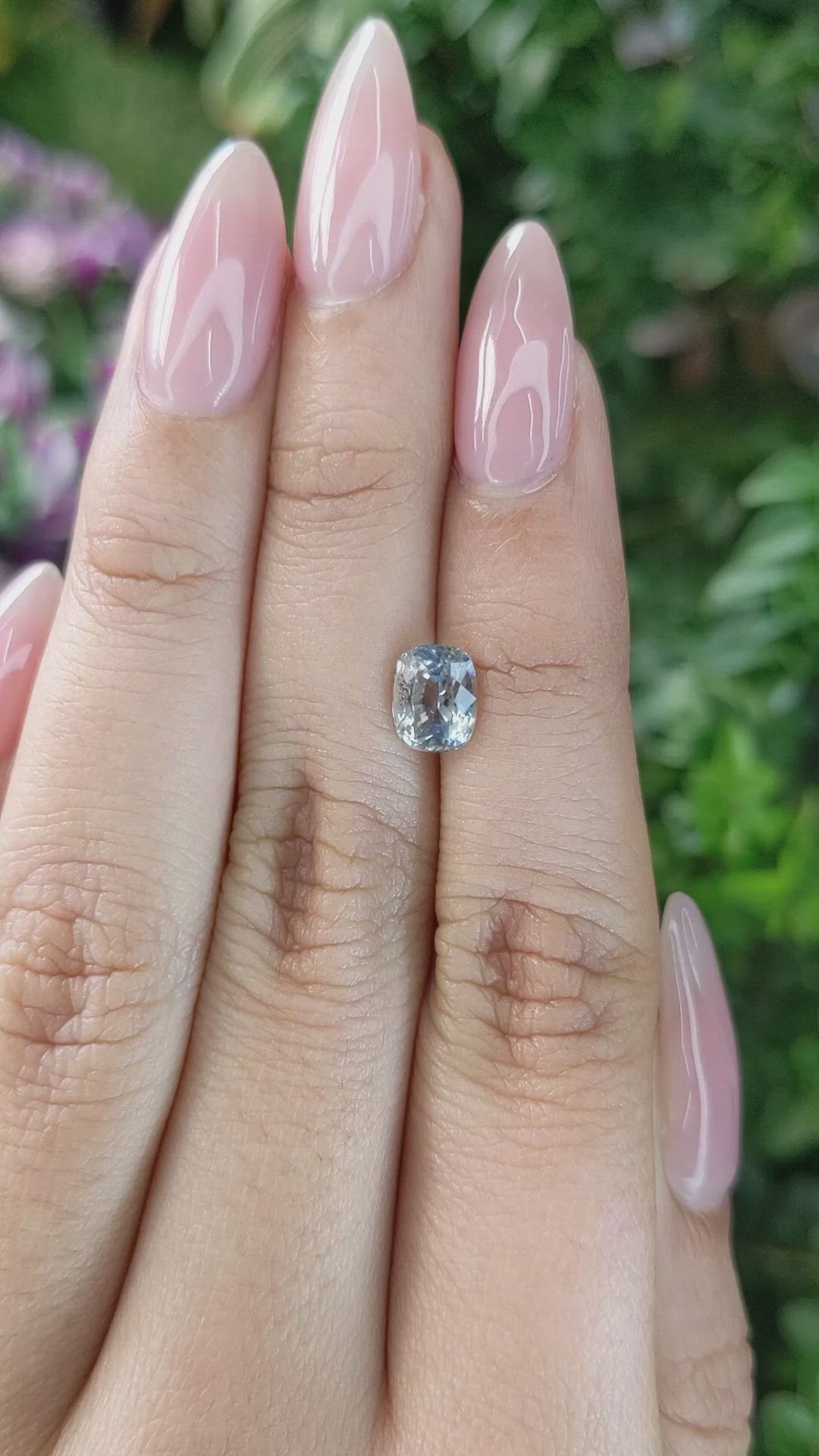 1.67 Ct. Bi Color Sapphire from Ceylon (Sri Lanka) Size Video