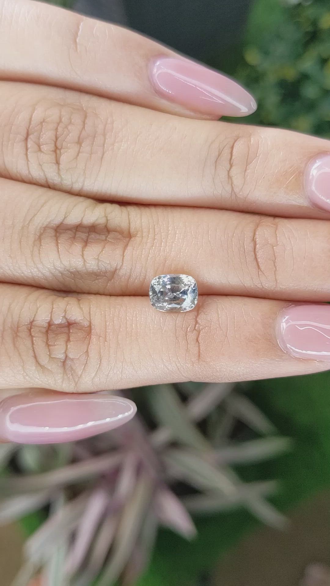 1.67 Ct. Bi Color Sapphire from Ceylon (Sri Lanka) Size Video