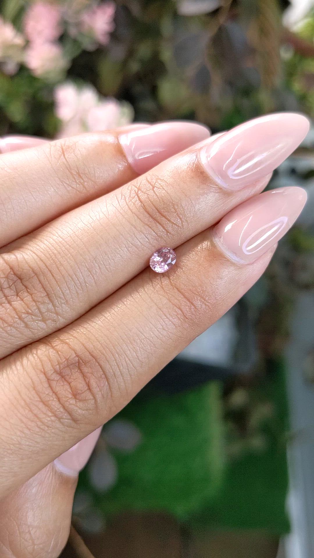 0.36 Ct. Pink Sapphire from Ceylon (Sri Lanka) Size Video