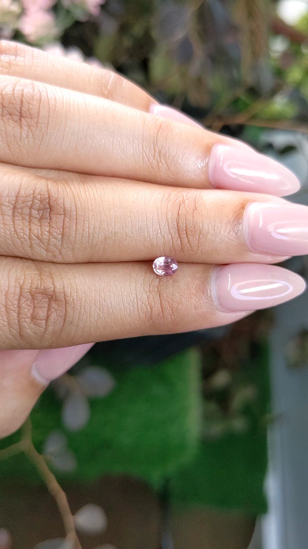 0.36 Ct. Pink Sapphire from Ceylon (Sri Lanka) Size Video