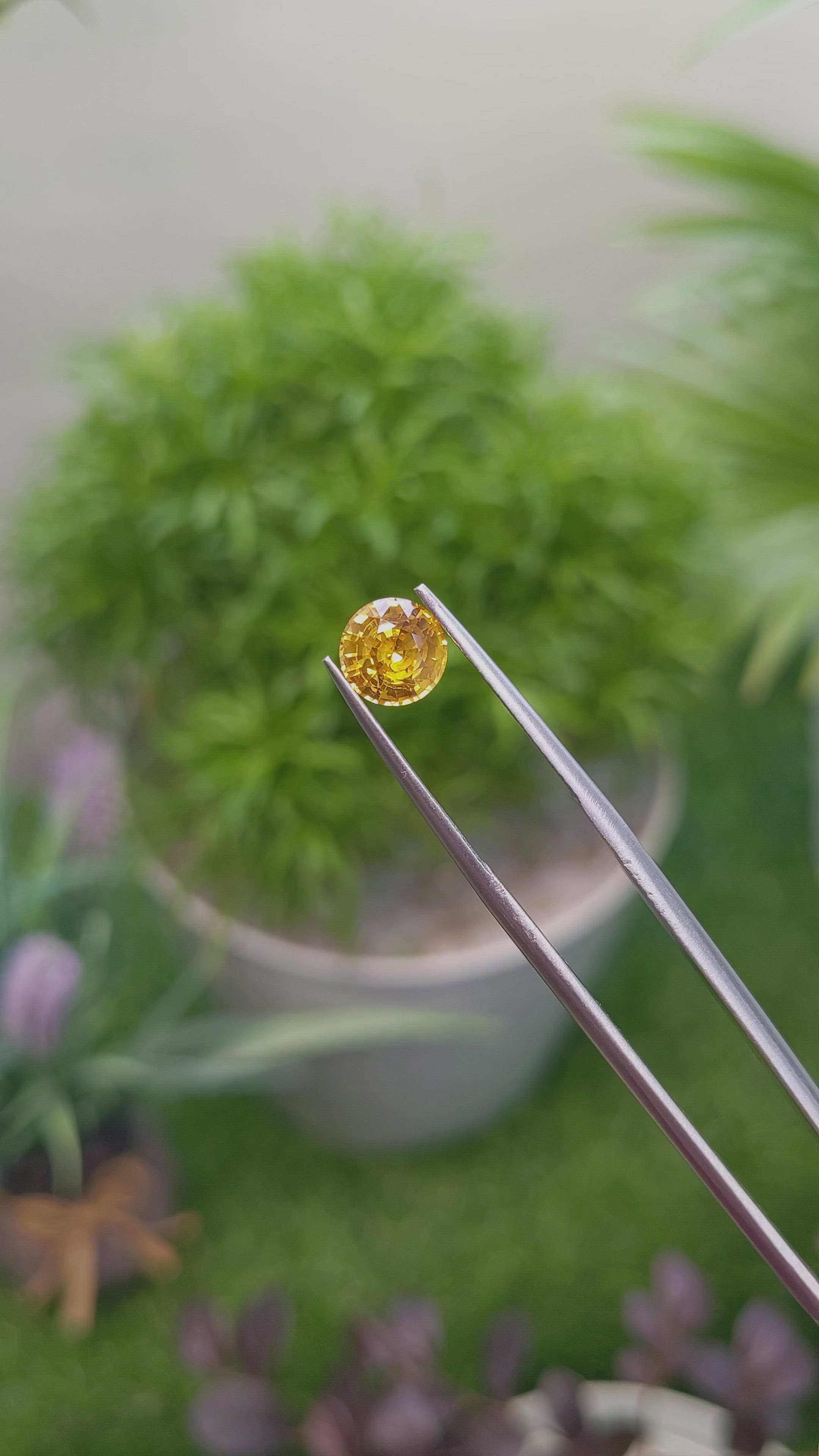 1.57 Ct. Orangish Yellow Sapphire from Ceylon (Sri Lanka) Size Video