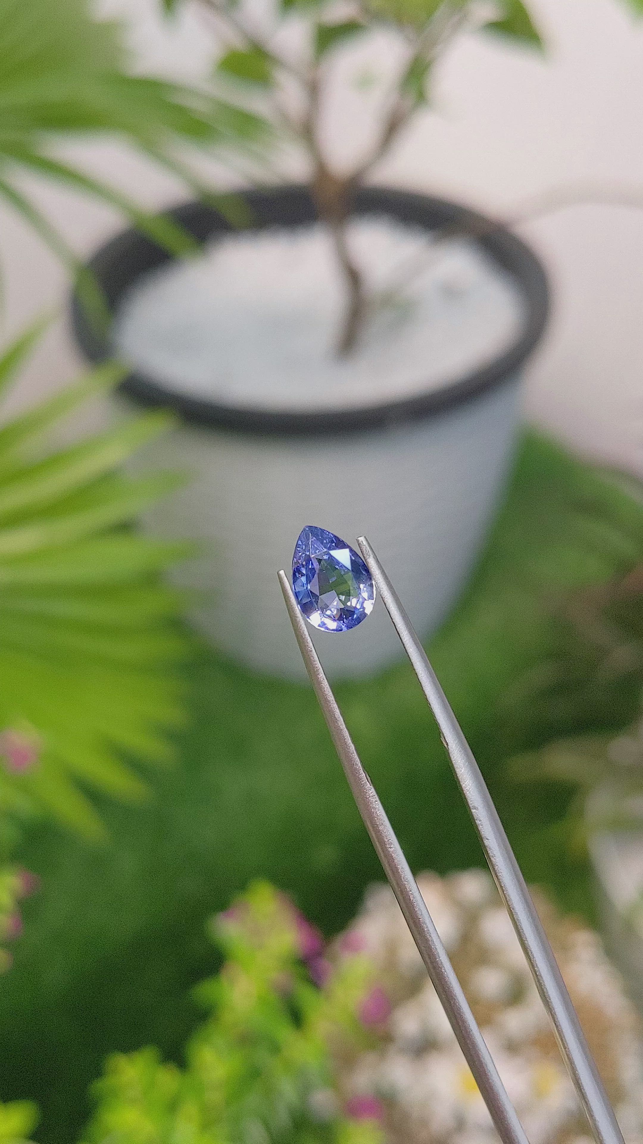 1.54 Ct. Blue Sapphire from Ceylon (Sri Lanka) Size Video
