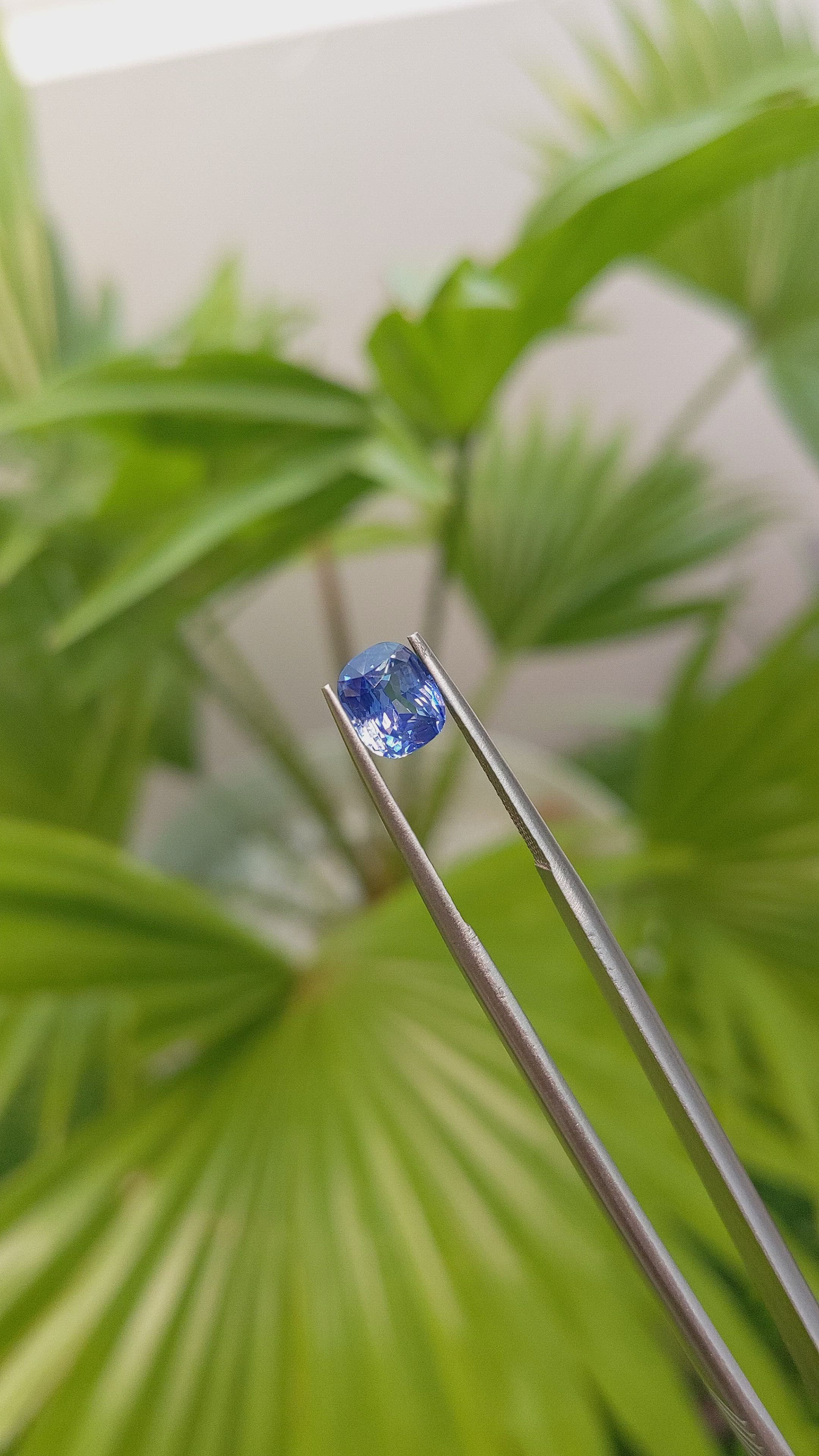 1.60 Ct. Blue Sapphire from Ceylon (Sri Lanka) Size Video