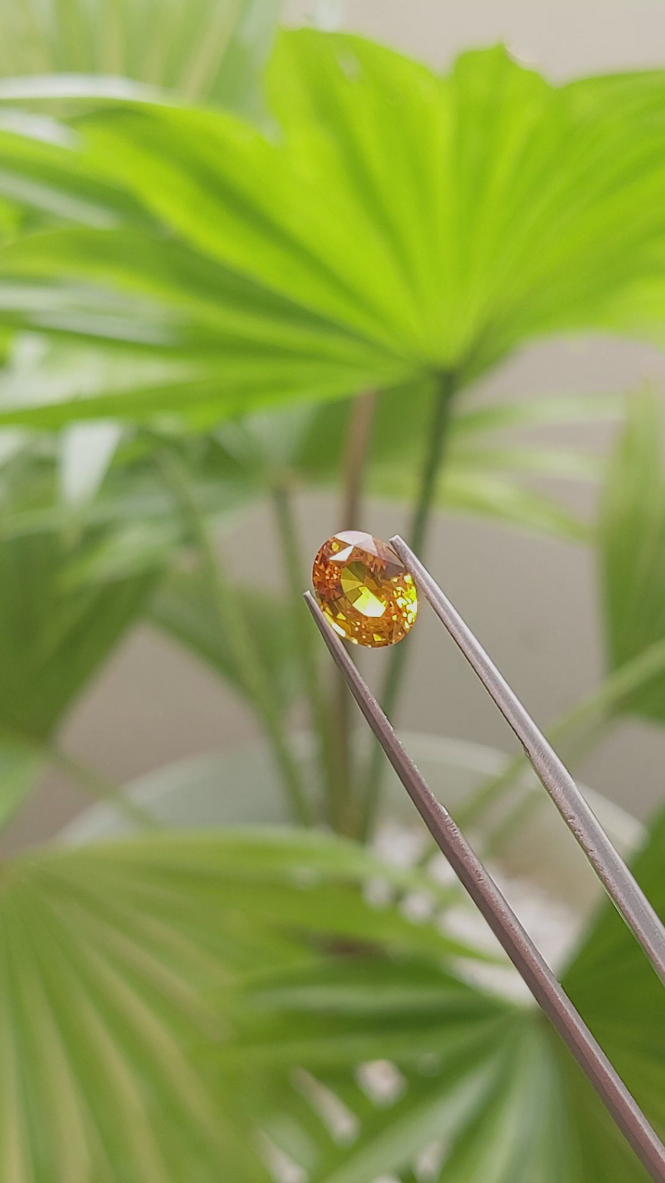 2.01 Ct. Yellowish Orange Sapphire from Ceylon (Sri Lanka) Size Video