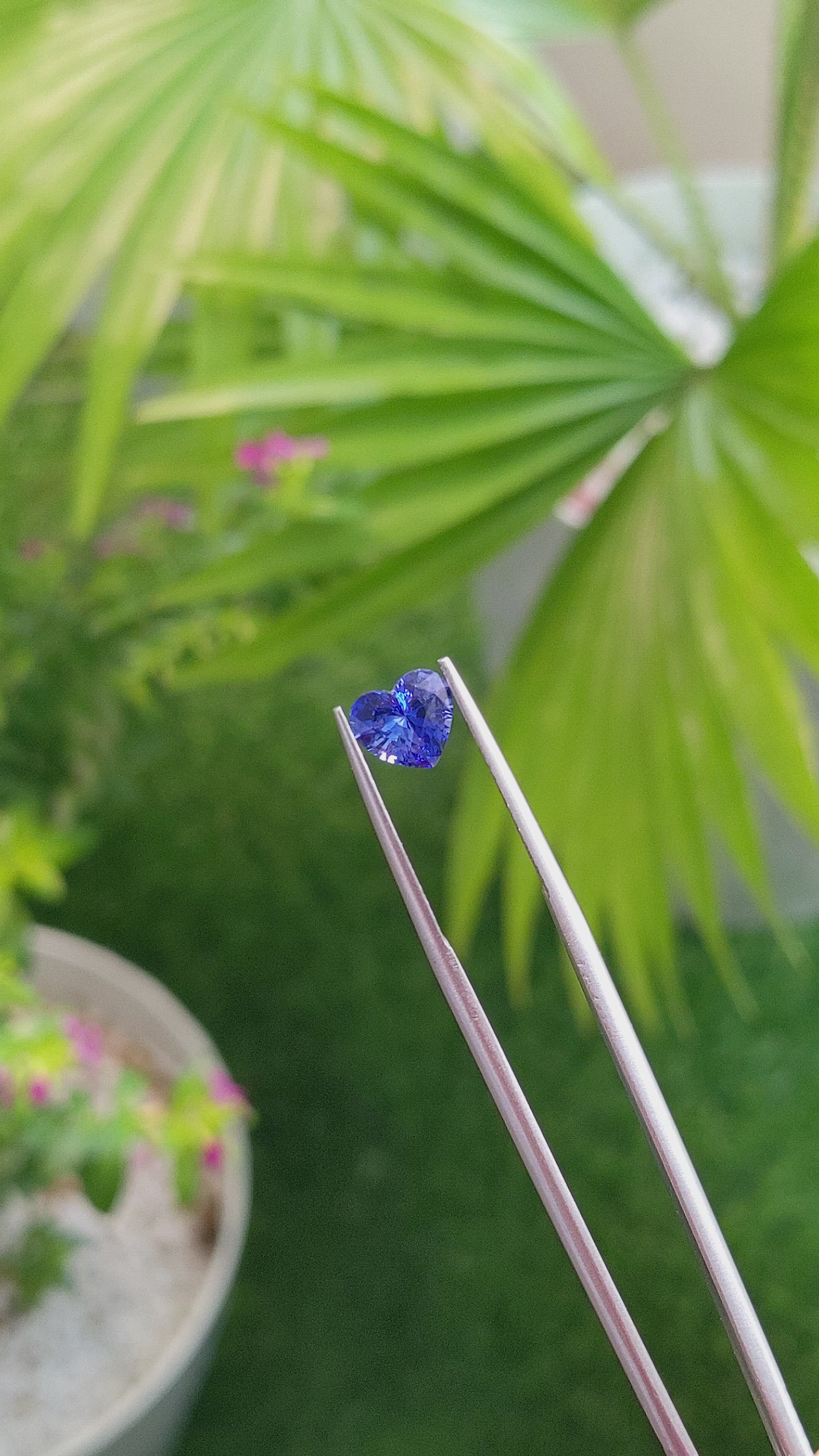 1.34 Ct. Blue Sapphire from Ceylon (Sri Lanka) Size Video