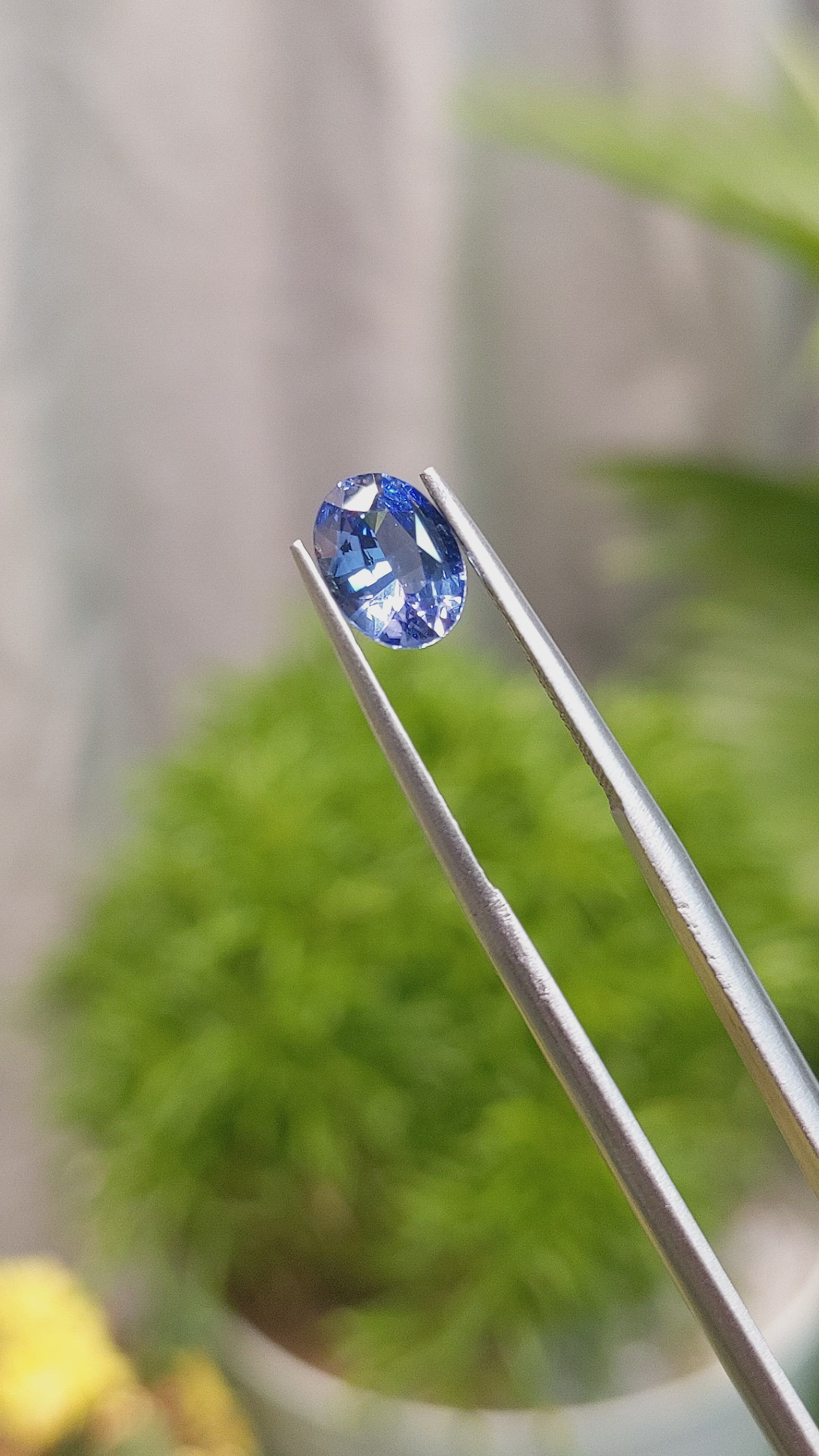 1.56 Ct. Blue Sapphire from Ceylon (Sri Lanka) Size Video