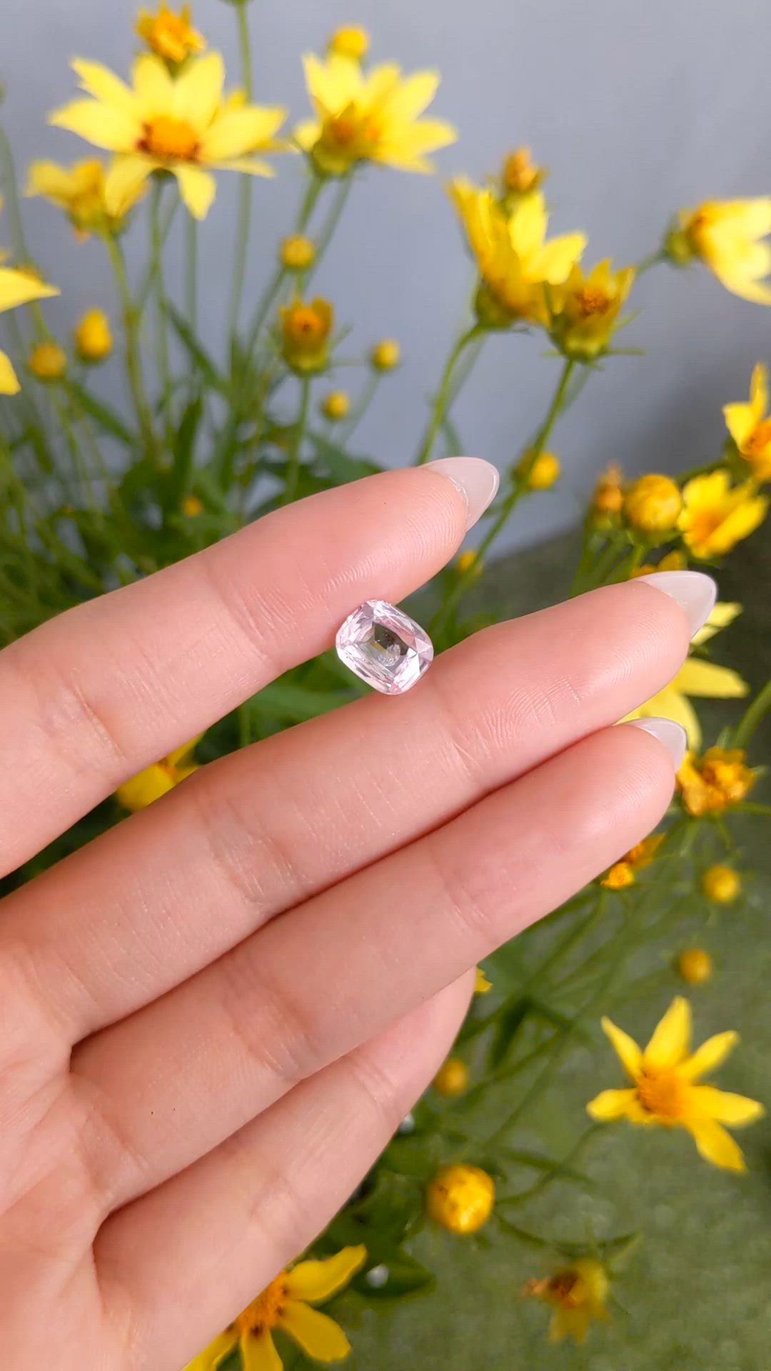 3.07 Ct. Pink Sapphire from Ceylon (Sri Lanka) Size Video