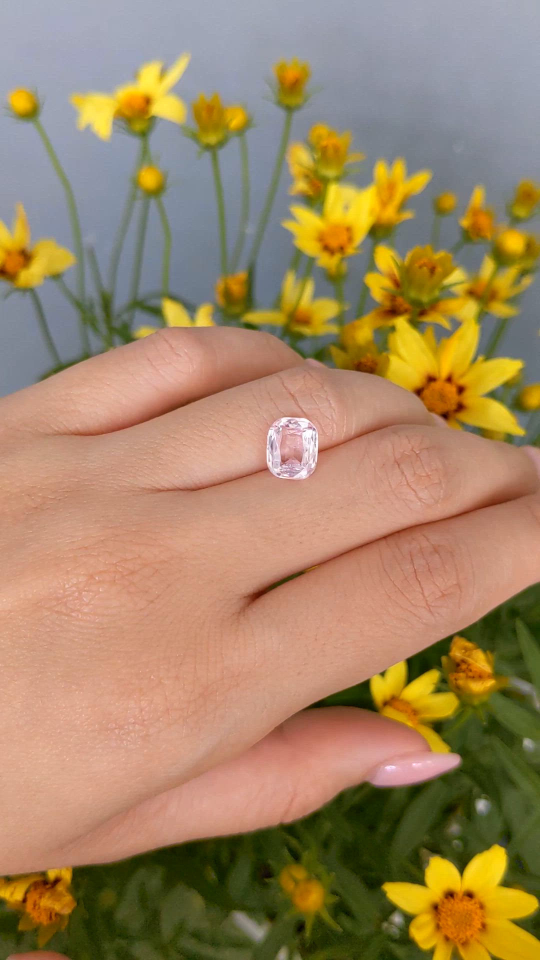 3.07 Ct. Pink Sapphire from Ceylon (Sri Lanka) Size Video