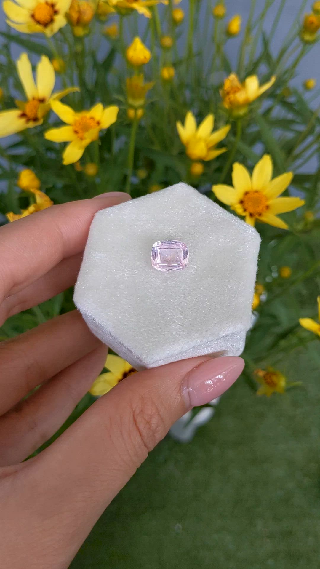 3.07 Ct. Pink Sapphire from Ceylon (Sri Lanka) Size Video