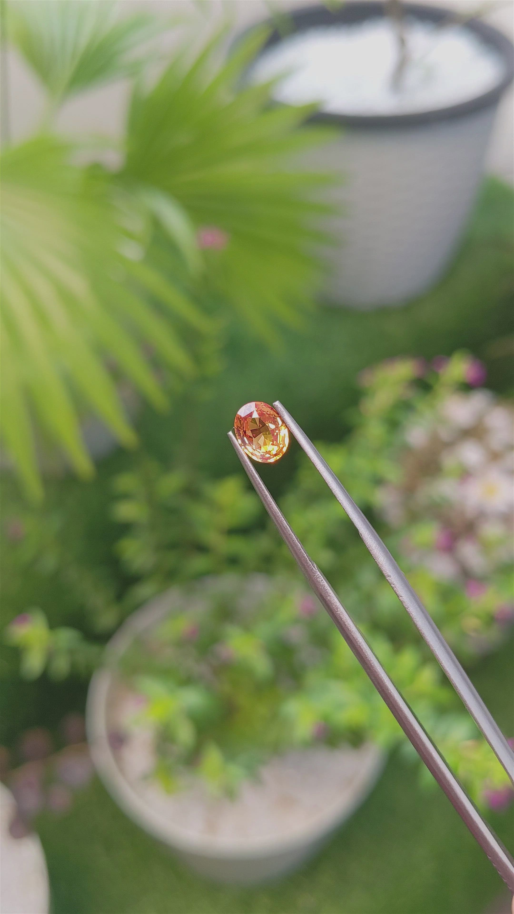 1.06 Ct. Orange Sapphire from Ceylon (Sri Lanka) Size Video