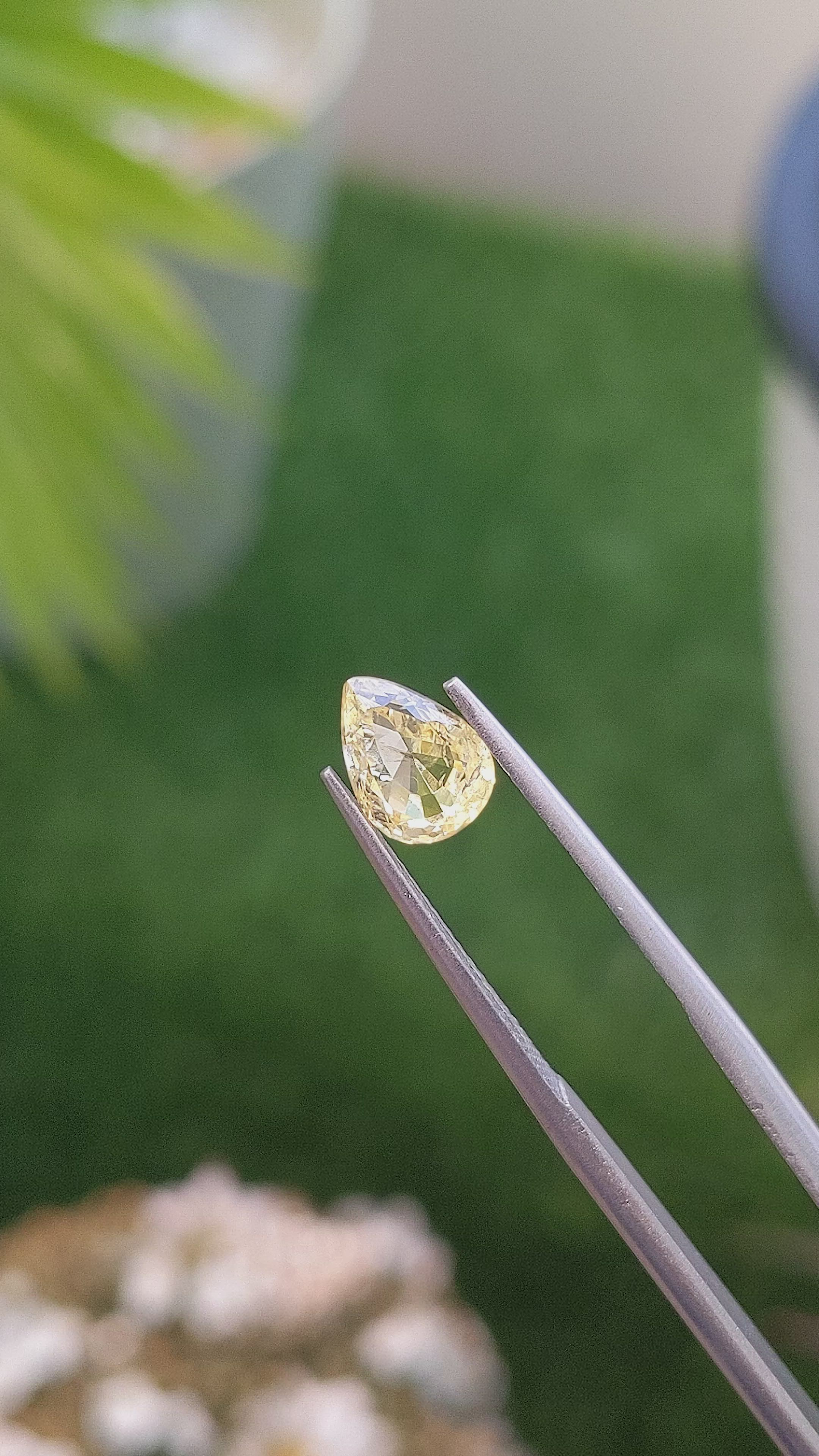 1.56 Ct. Yellow Sapphire from Ceylon (Sri Lanka) Size Video